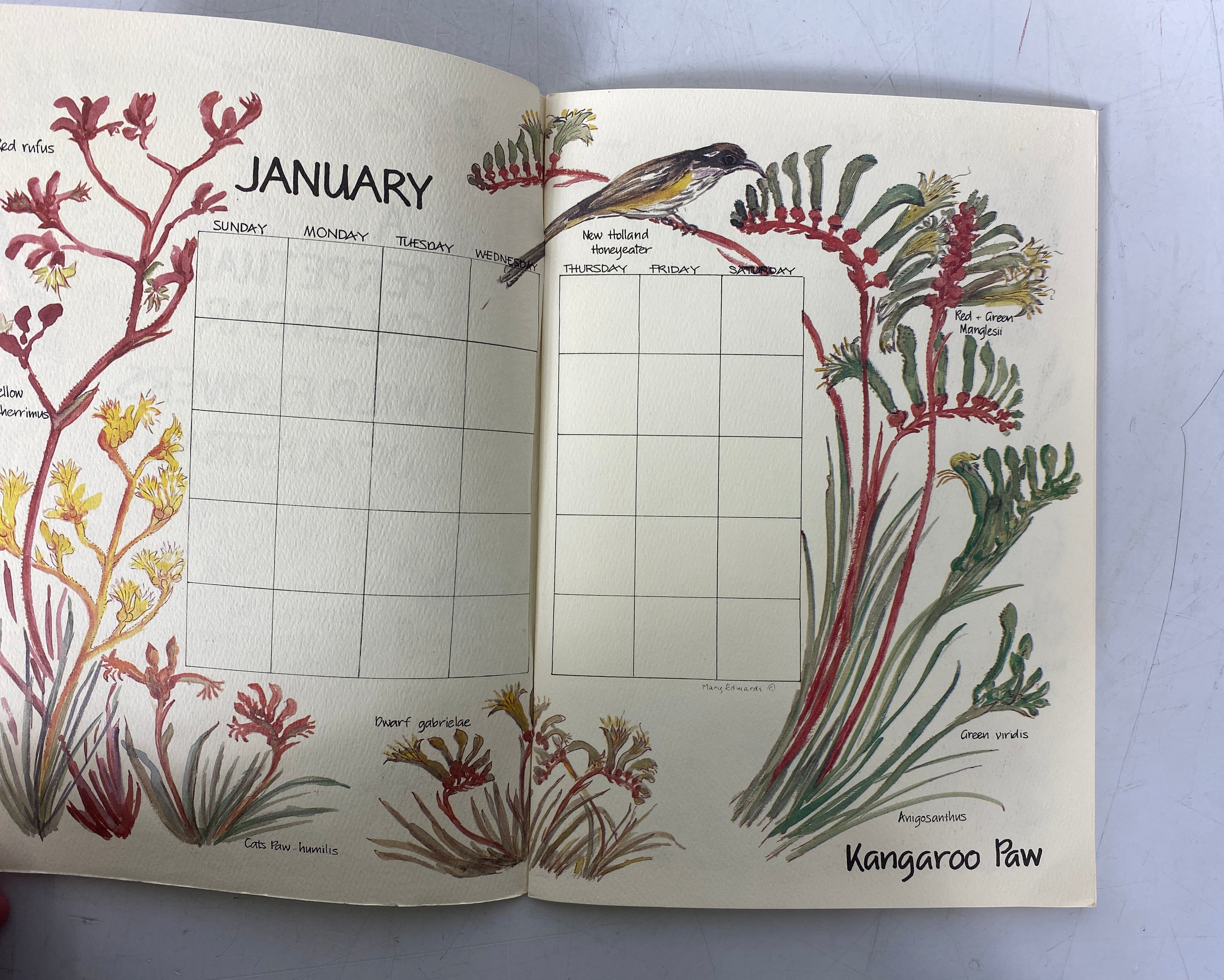 A Perpetual Calendar Wild Flowers of Australia by Mary Edwards Clean SC