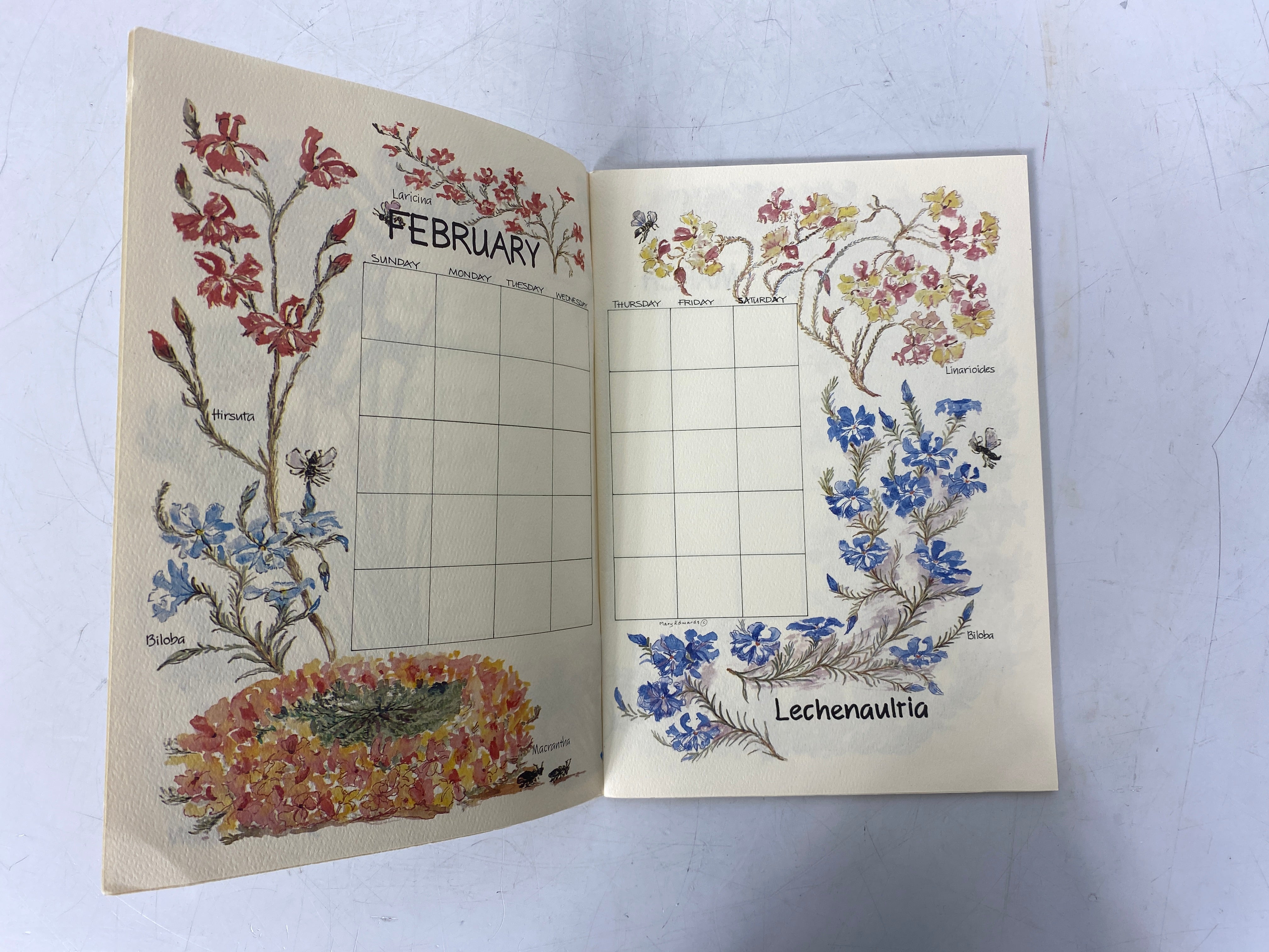 A Perpetual Calendar Wild Flowers of Australia by Mary Edwards Clean SC