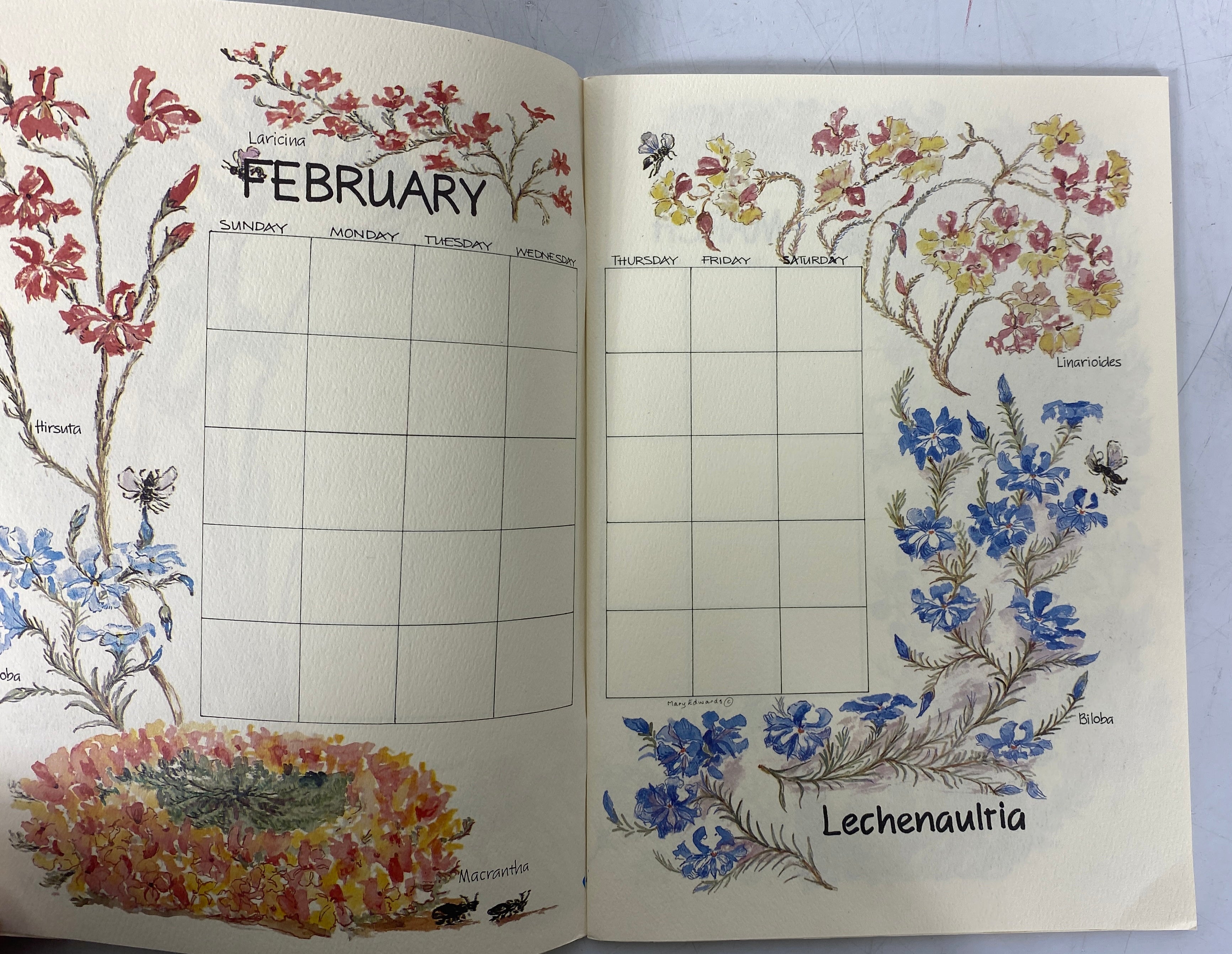 A Perpetual Calendar Wild Flowers of Australia by Mary Edwards Clean SC