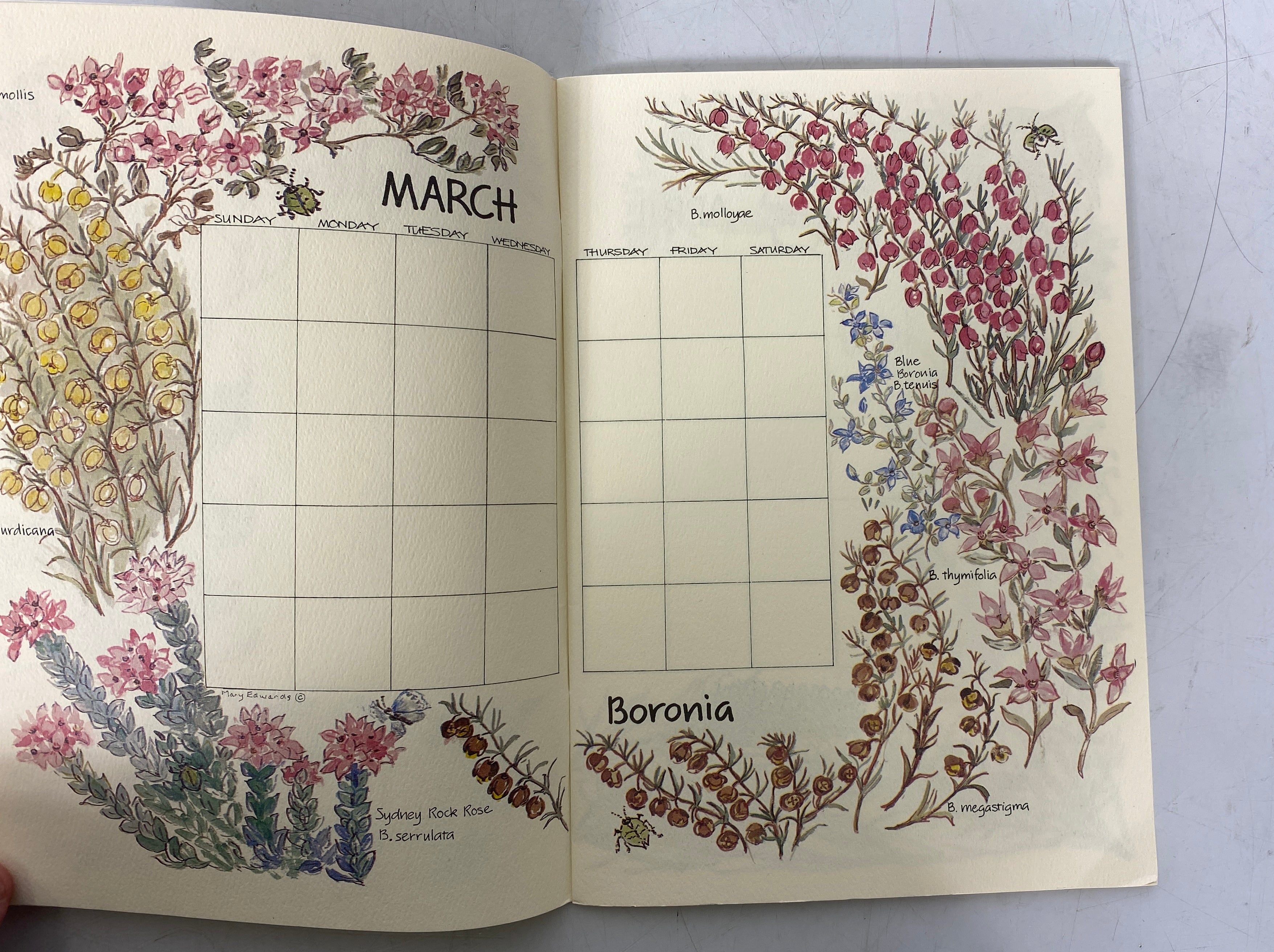 A Perpetual Calendar Wild Flowers of Australia by Mary Edwards Clean SC