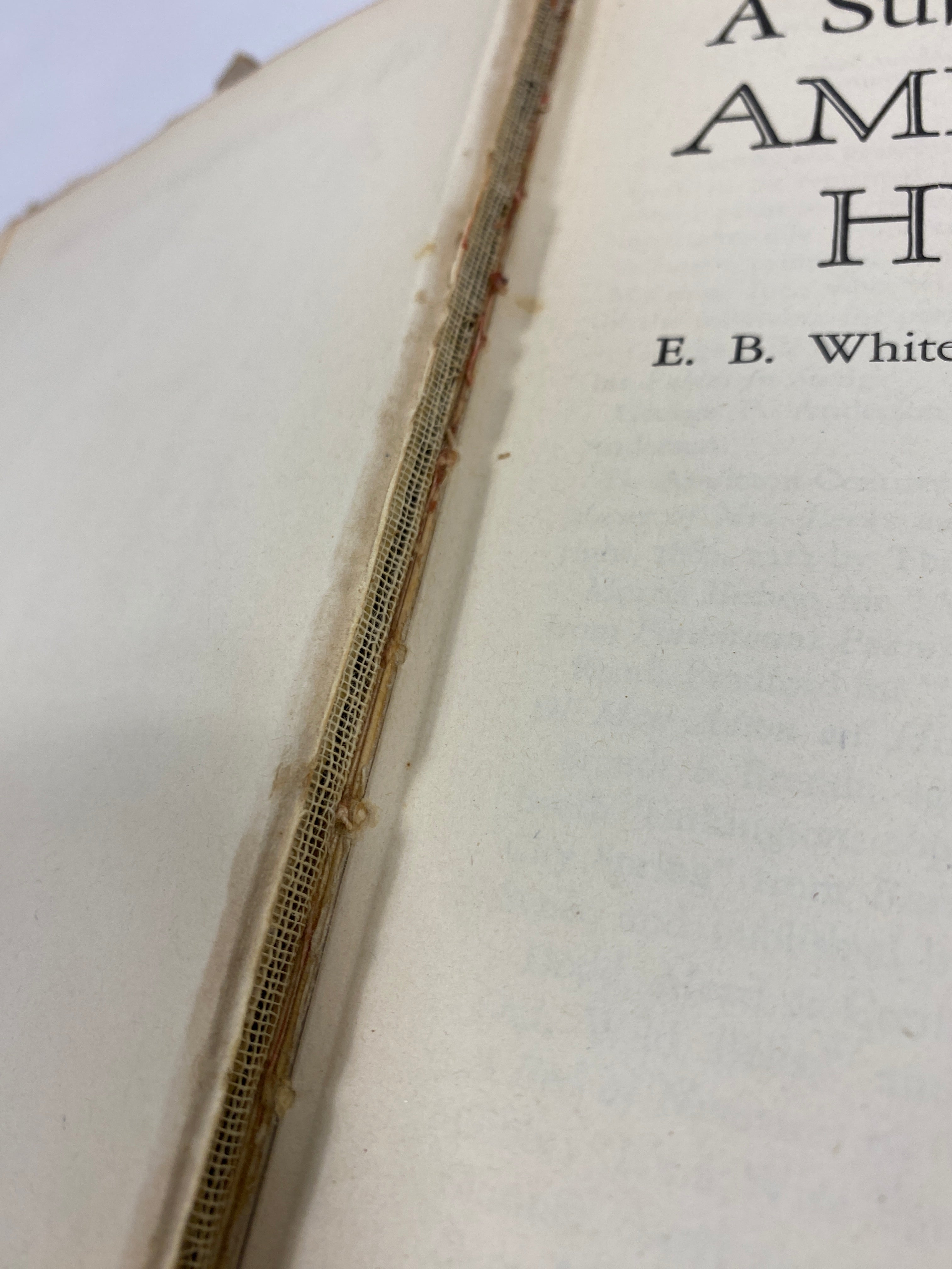 A Subtreasury of American Humor White/White 1941 HCDJ
