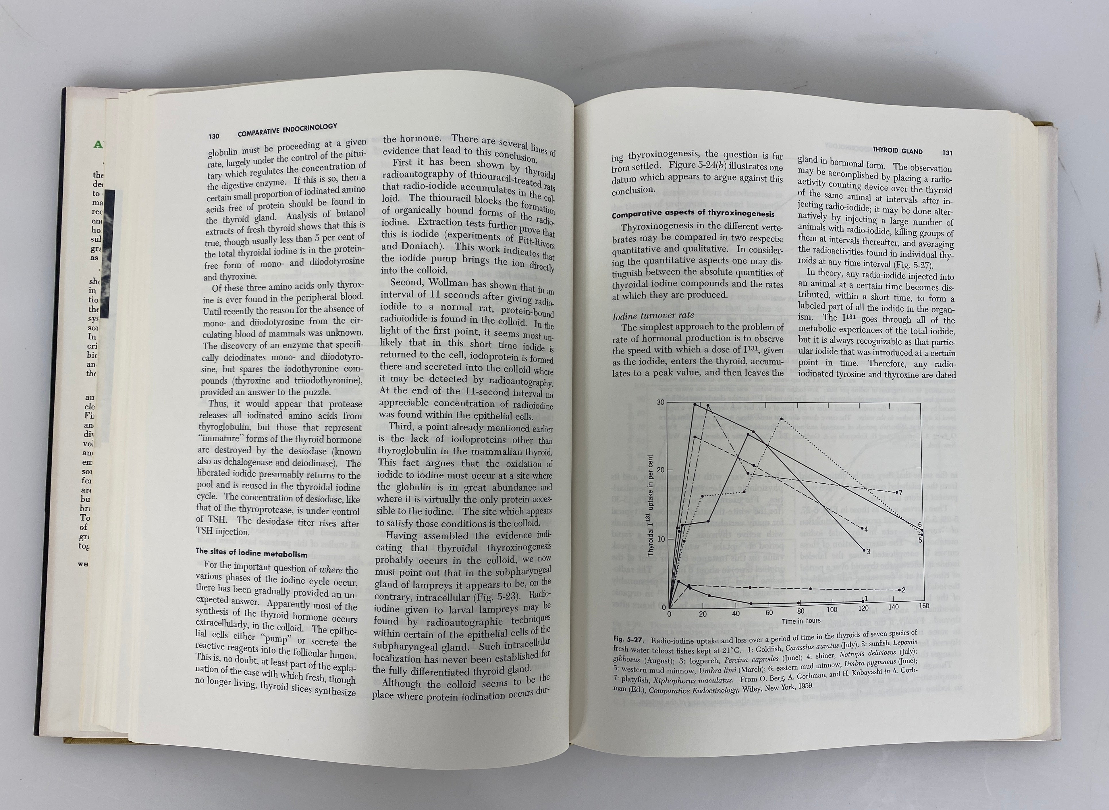A Textbook of Comparative Endocrinology Gorbman/Bern 1962 HC DJ