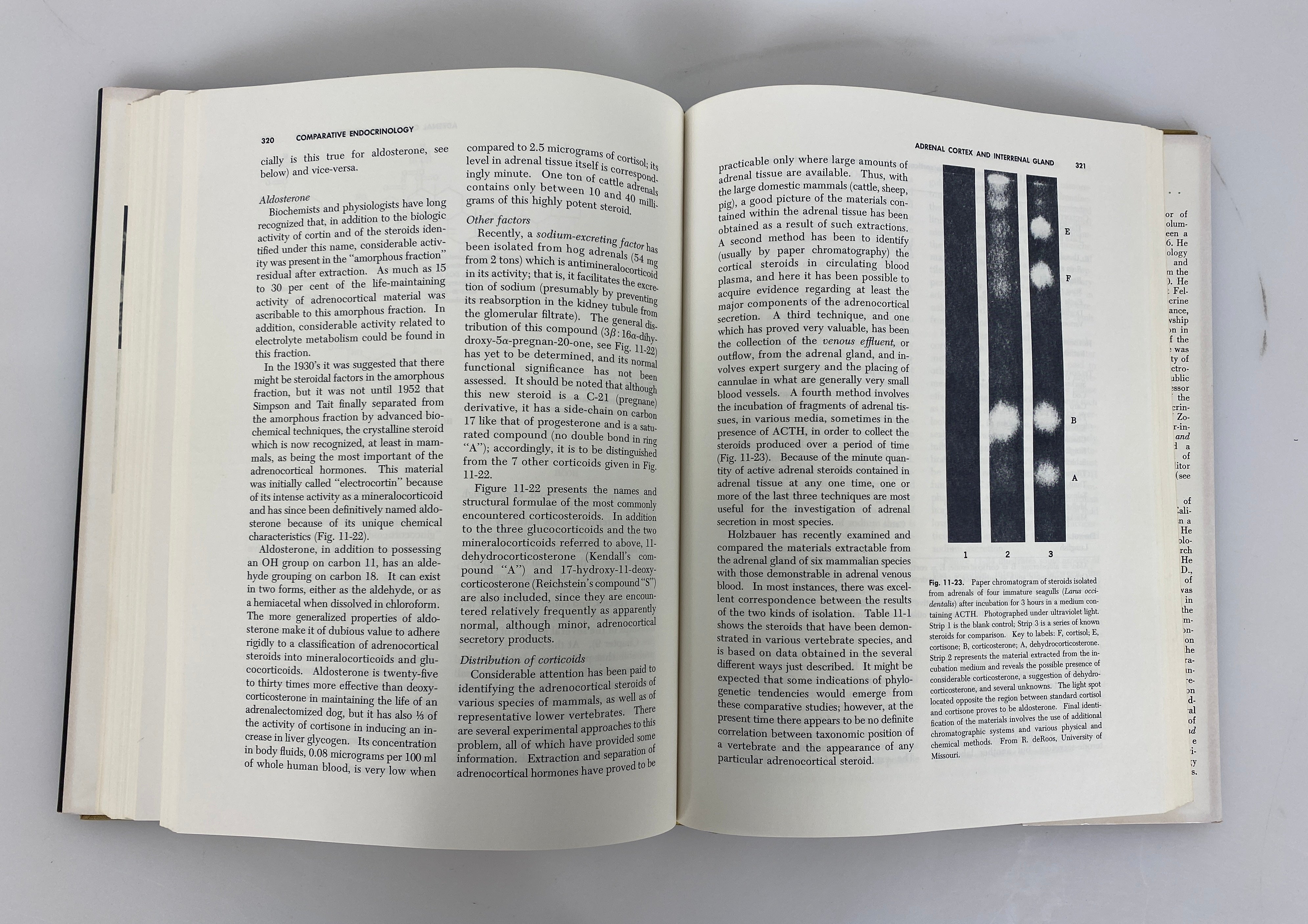 A Textbook of Comparative Endocrinology Gorbman/Bern 1962 HC DJ