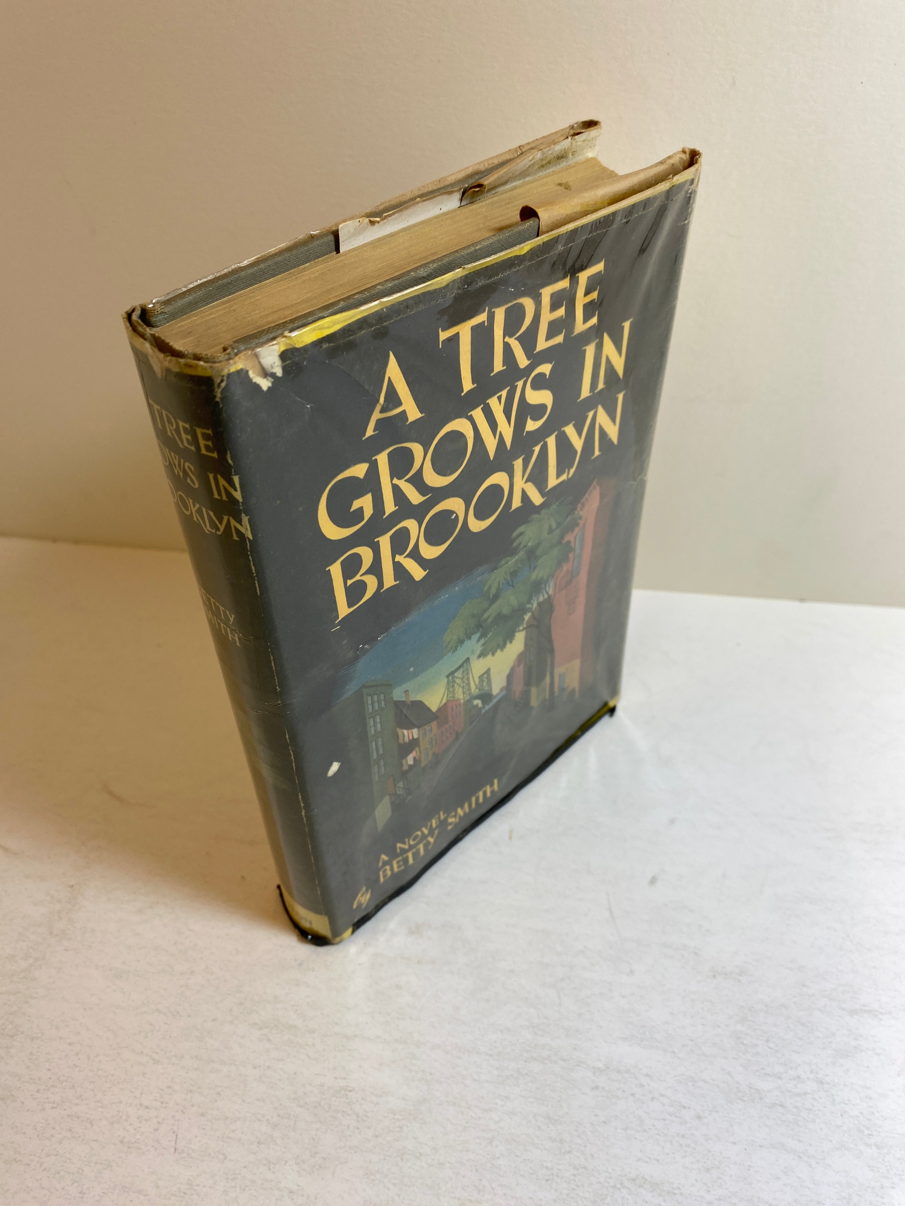 A Tree Grows in Brooklyn Betty Smith 1943 HCDJ