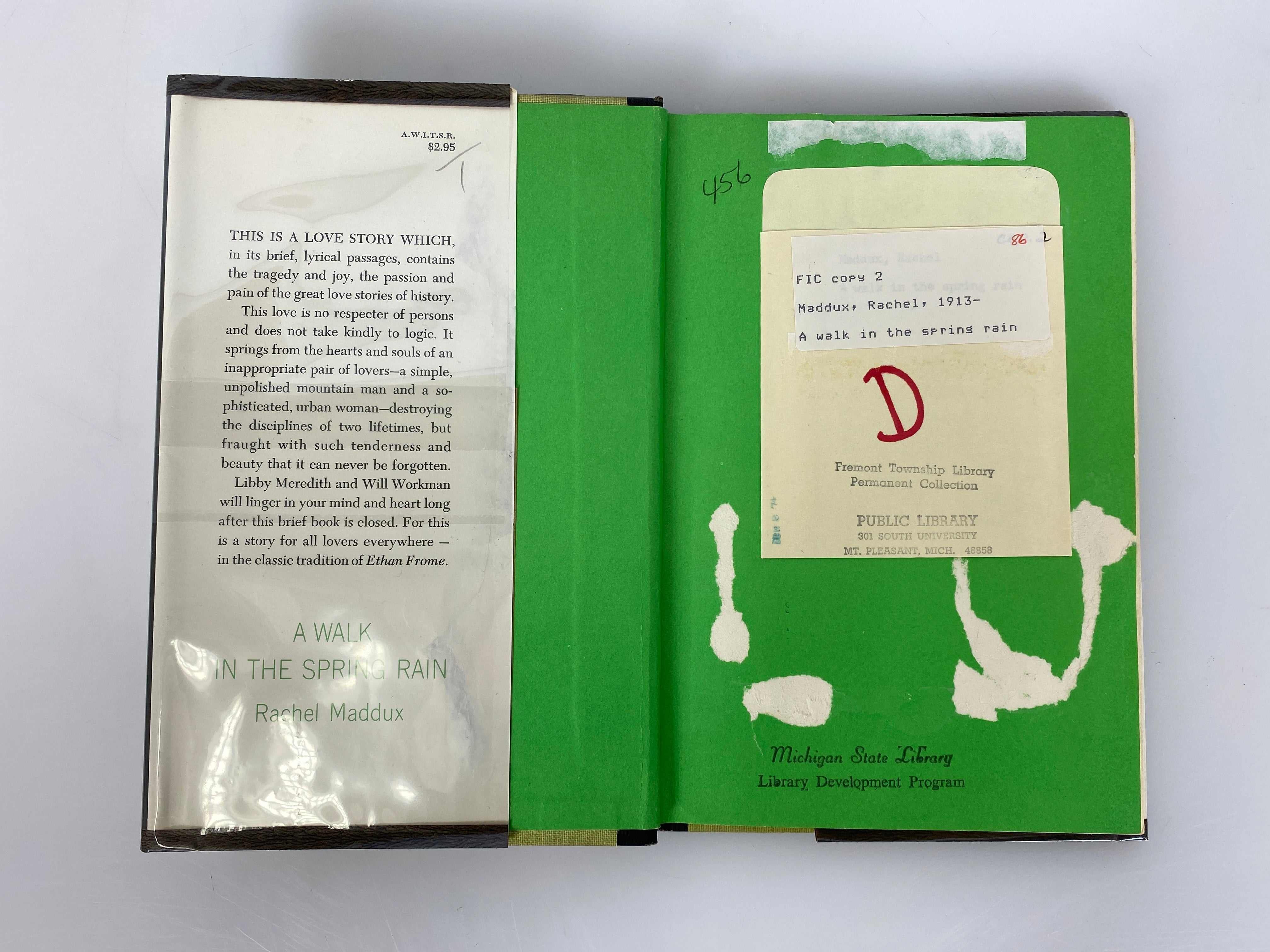 A Walk in the Spring Rain Rachel Maddux 1966 Stated 1st Edition Ex-Library HC DJ