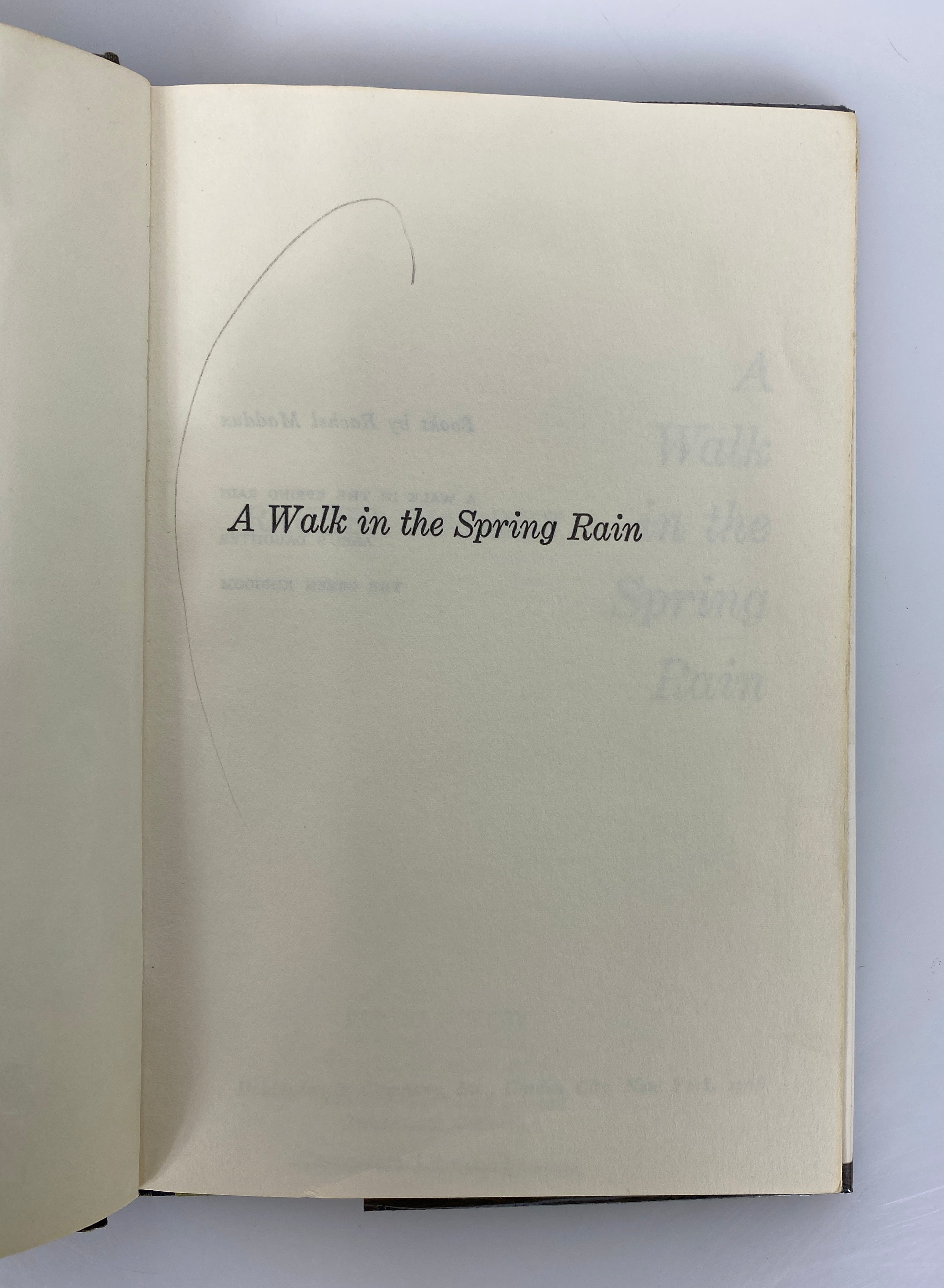 A Walk in the Spring Rain Rachel Maddux 1966 Stated 1st Edition Ex-Library HC DJ