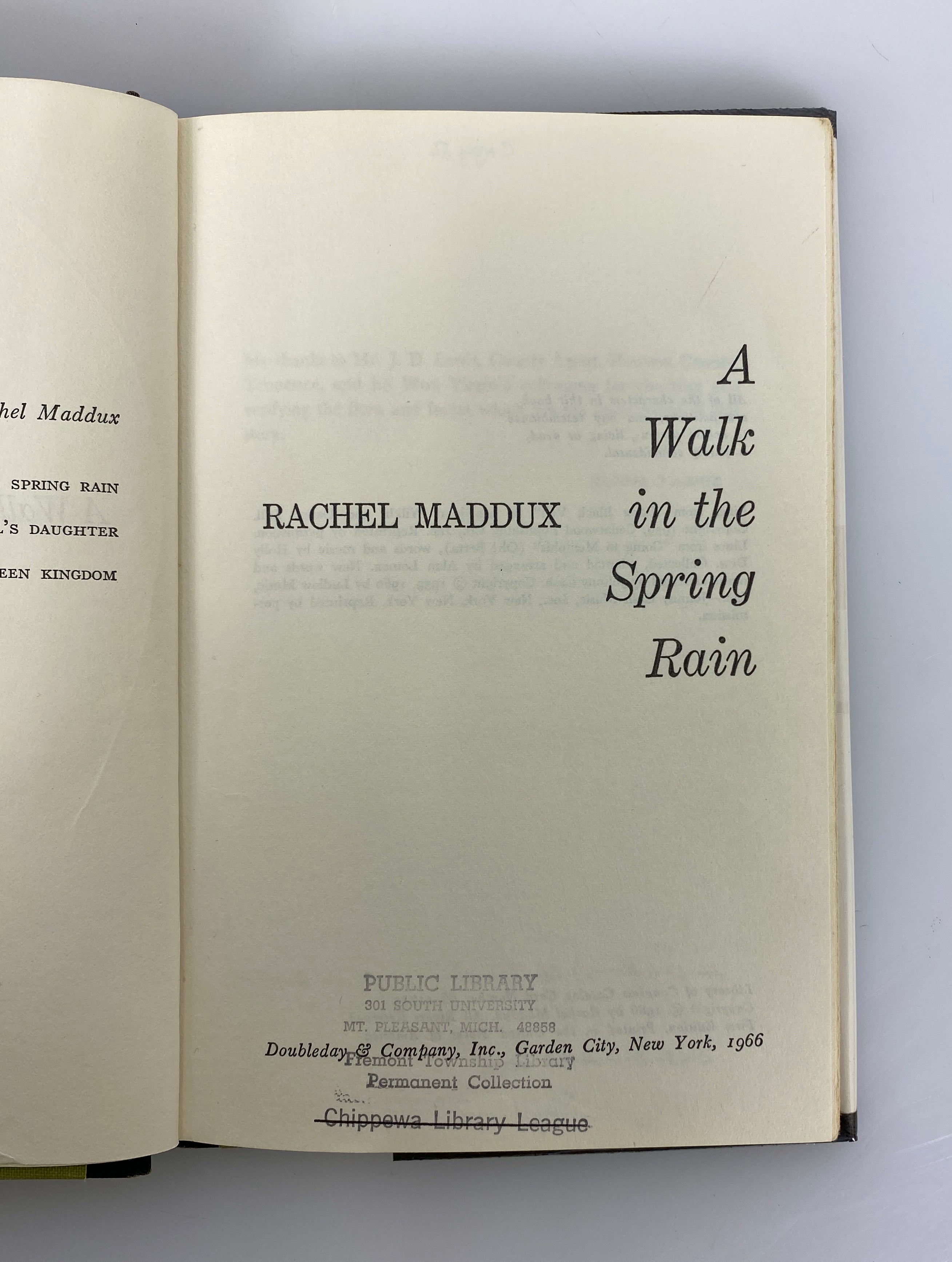 A Walk in the Spring Rain Rachel Maddux 1966 Stated 1st Edition Ex-Library HC DJ