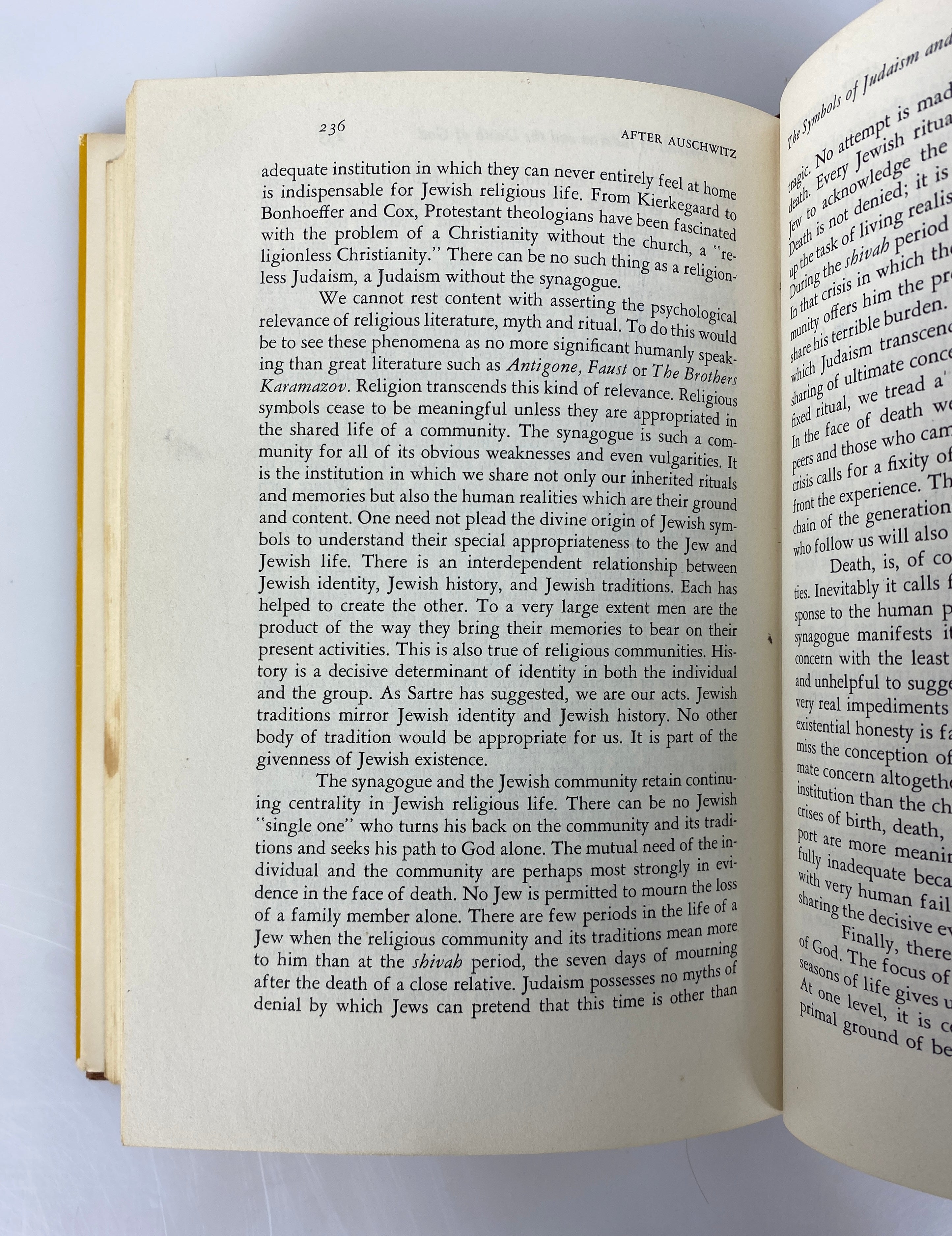 After Auschwitz by Richard Rubenstein 1966 Vintage HC DJ