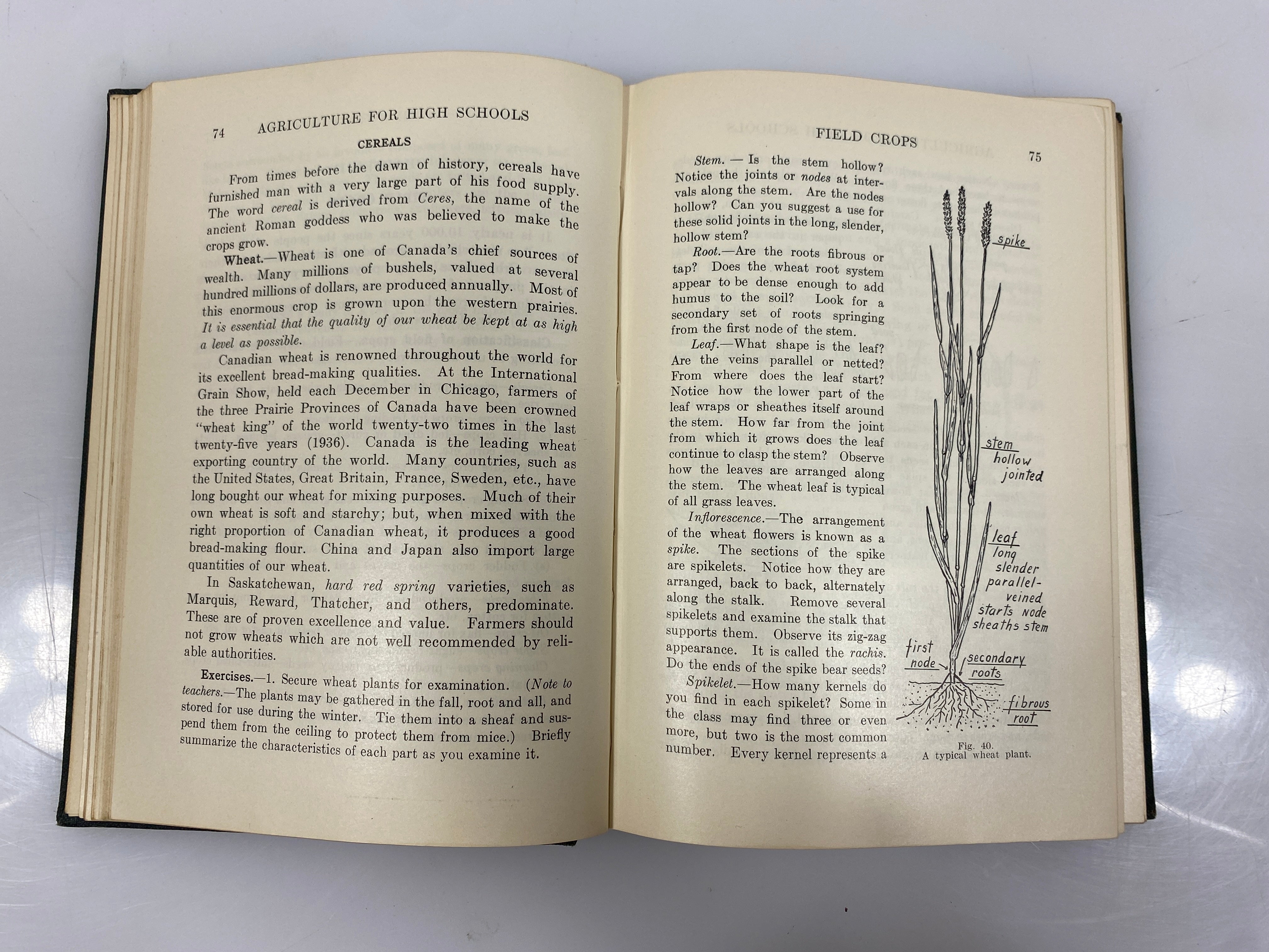 Agriculture for High Schools by H.C. Andrews 1940 Vintage HC Textbook