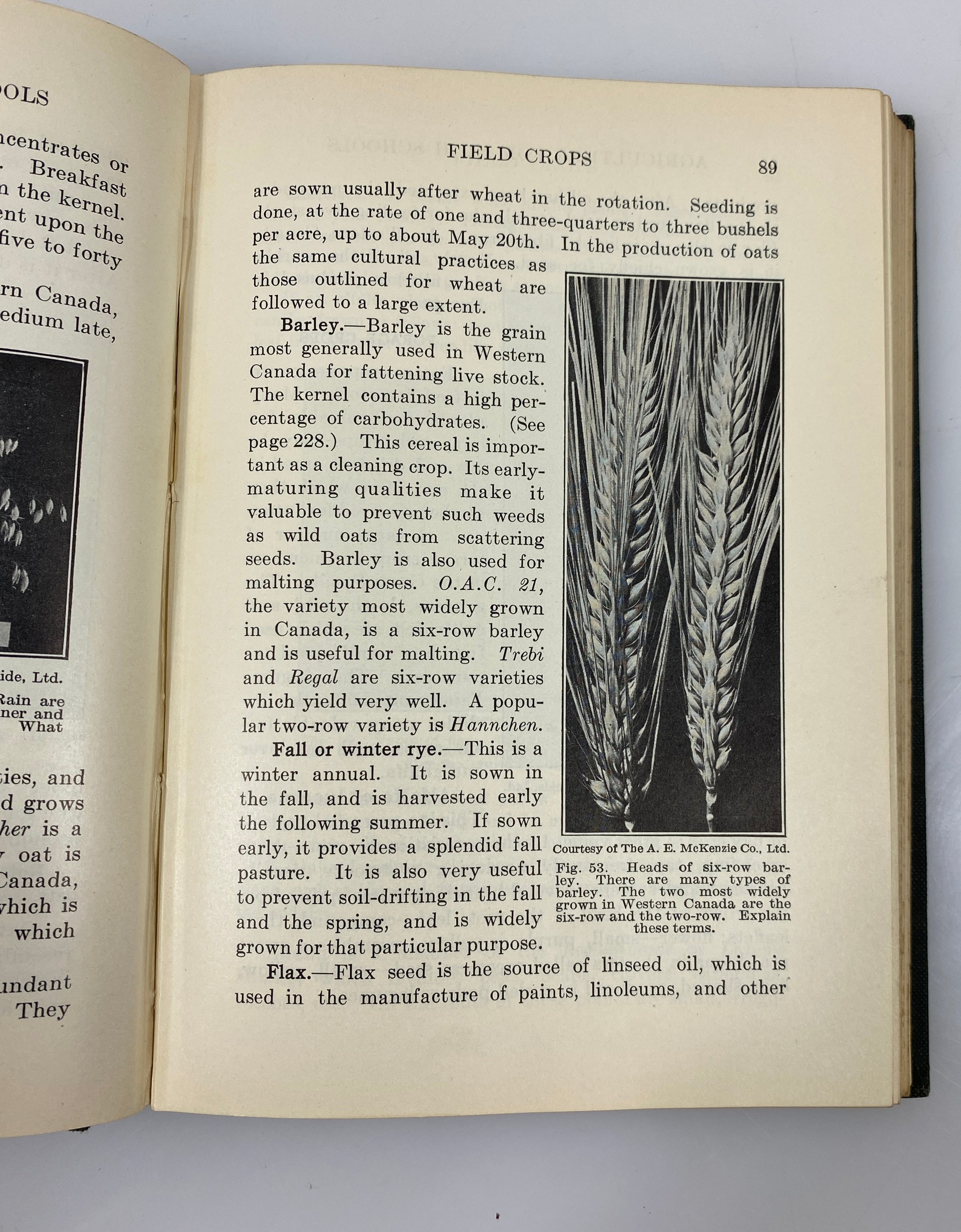 Agriculture for High Schools by H.C. Andrews 1940 Vintage HC Textbook