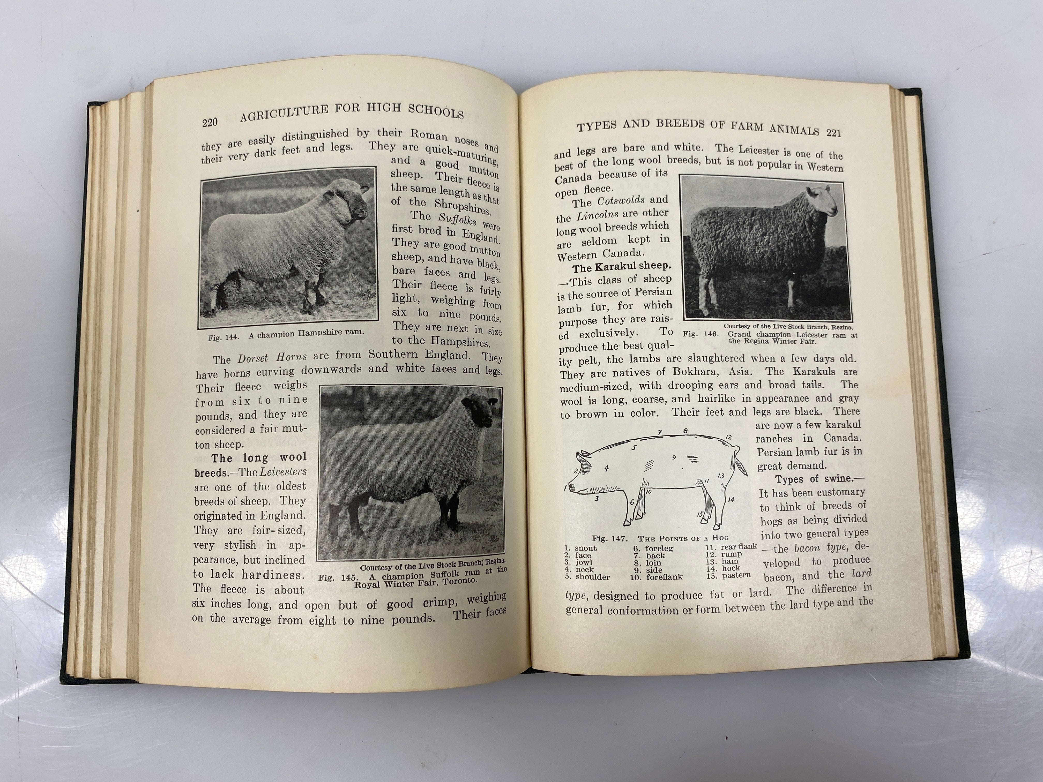 Agriculture for High Schools by H.C. Andrews 1940 Vintage HC Textbook