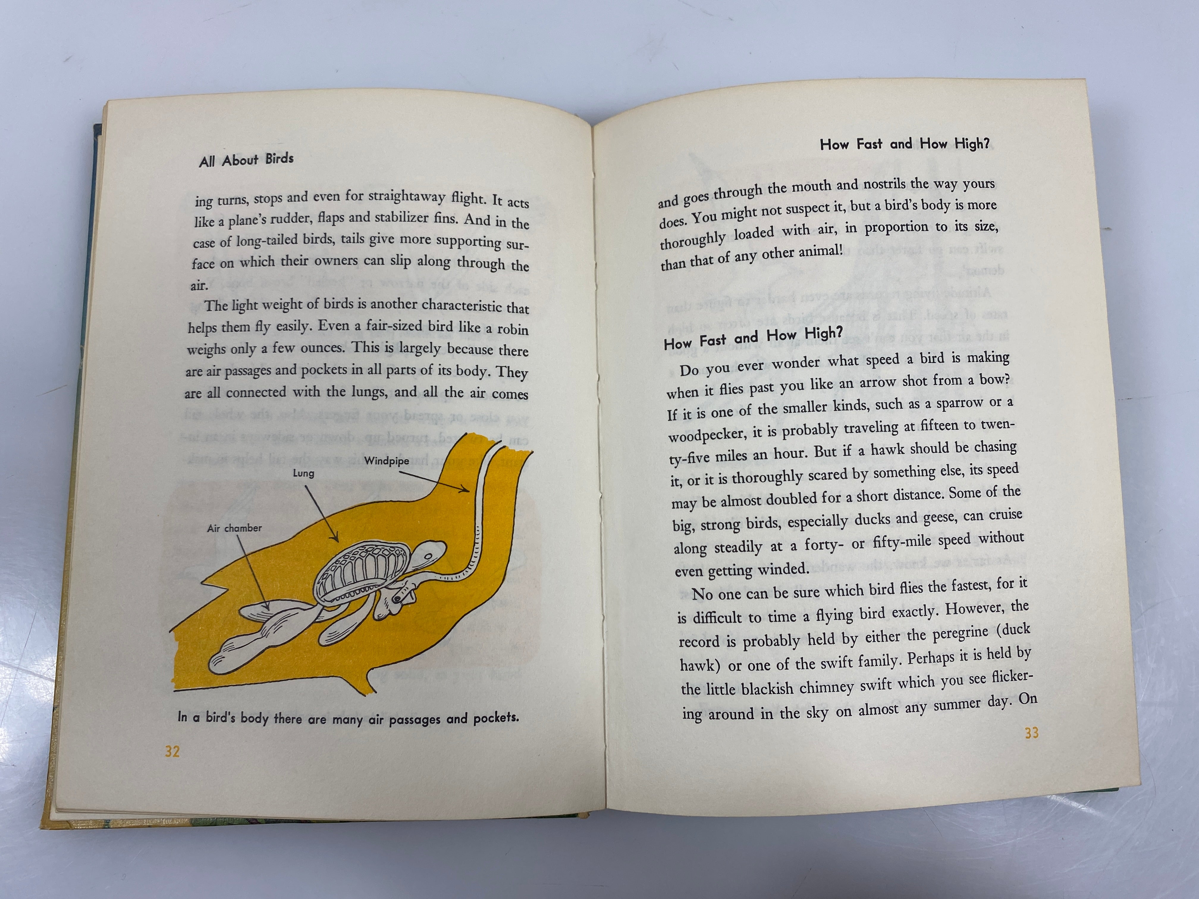 All About Birds Robert S. Lemmon Random House 6th Print 1955 HC