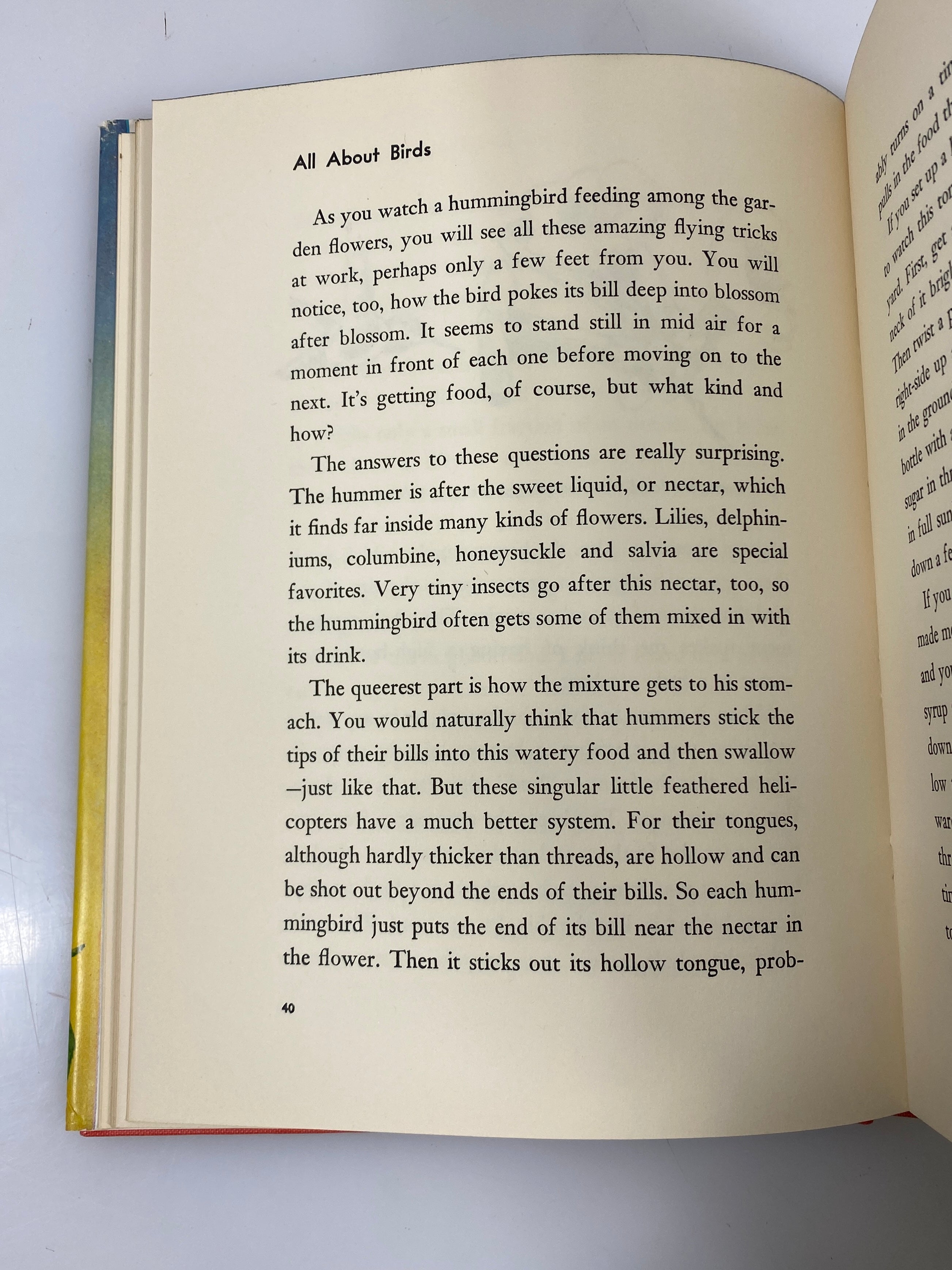 All About Birds Robert S. Lemmon Random House 6th Print 1955 HCDJ