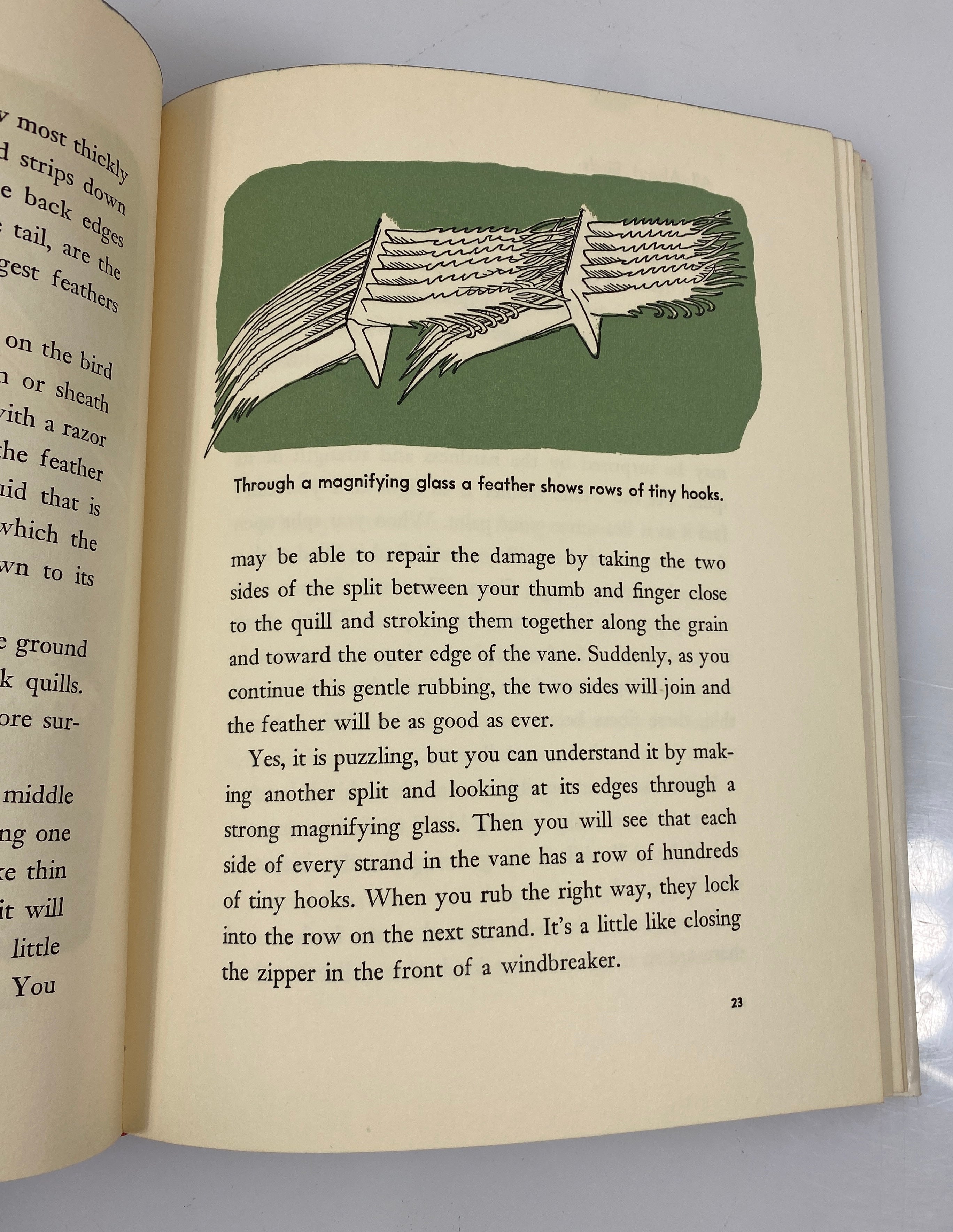 All About Birds Robert S. Lemmon Random House 6th Print 1955 HCDJ