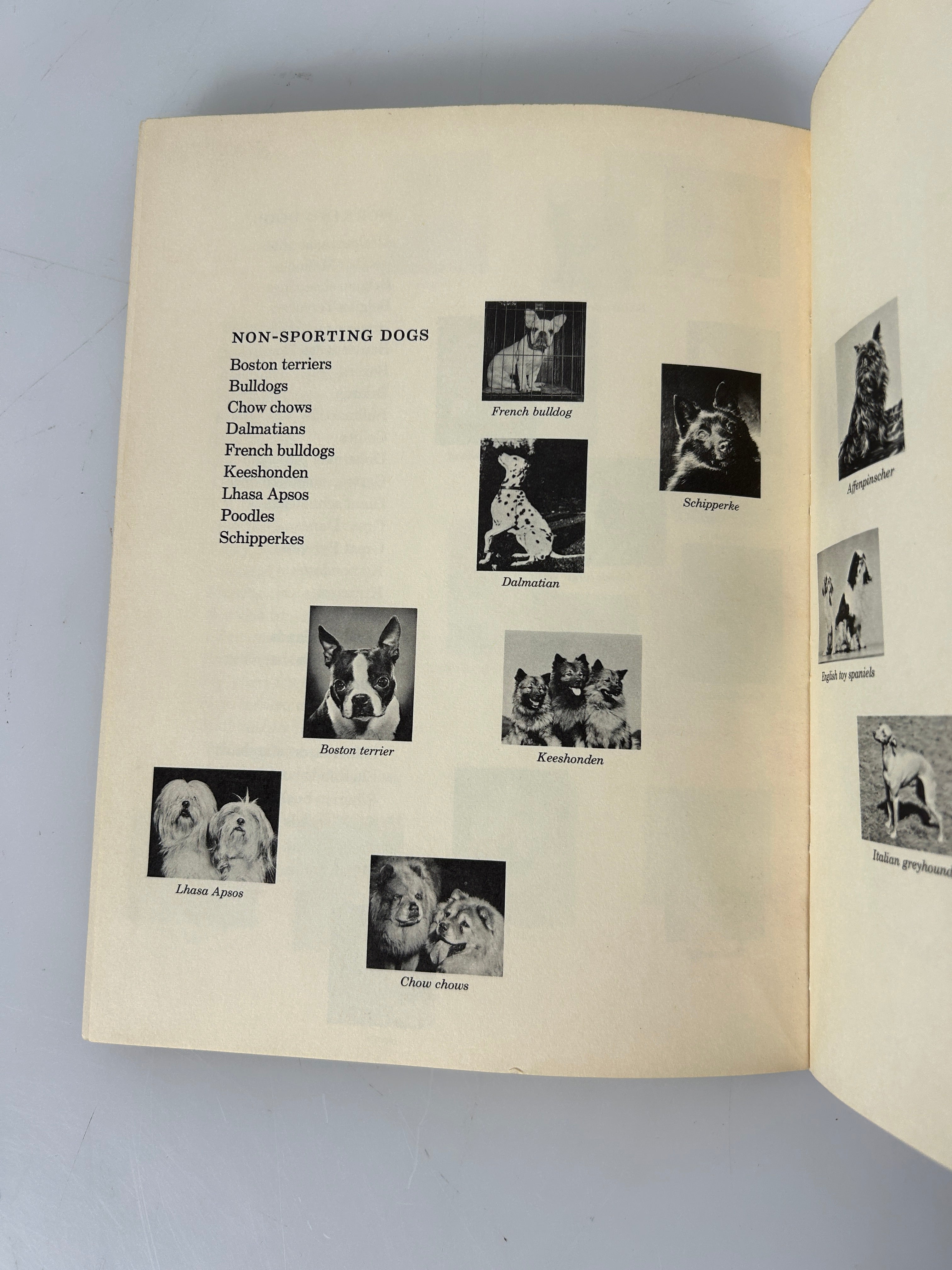 All About Dogs by Carl Burger Random House 1962 HC