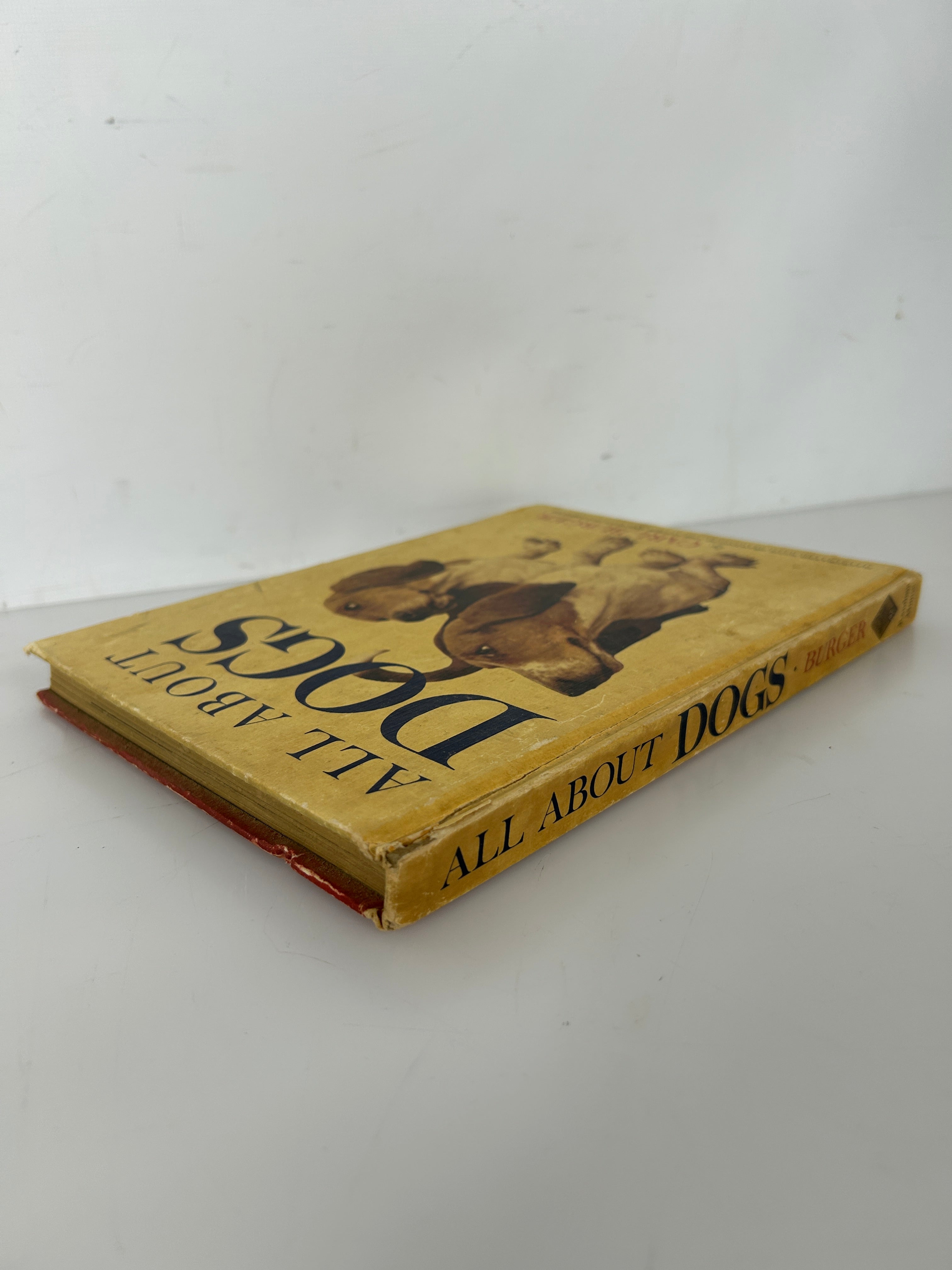 All About Dogs by Carl Burger Random House 1962 HC