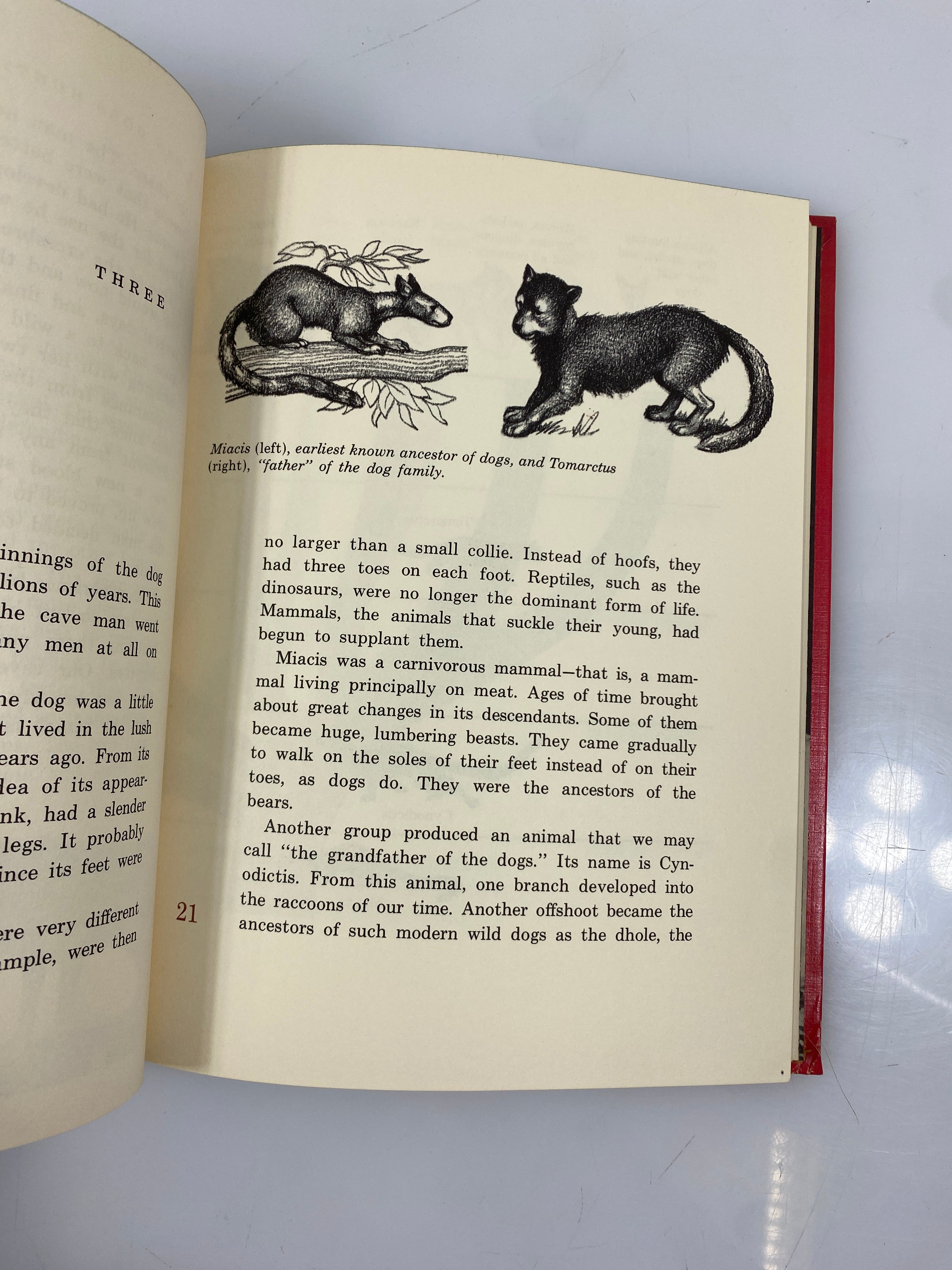 All About Dogs Carl Burger Random House 1962 HC