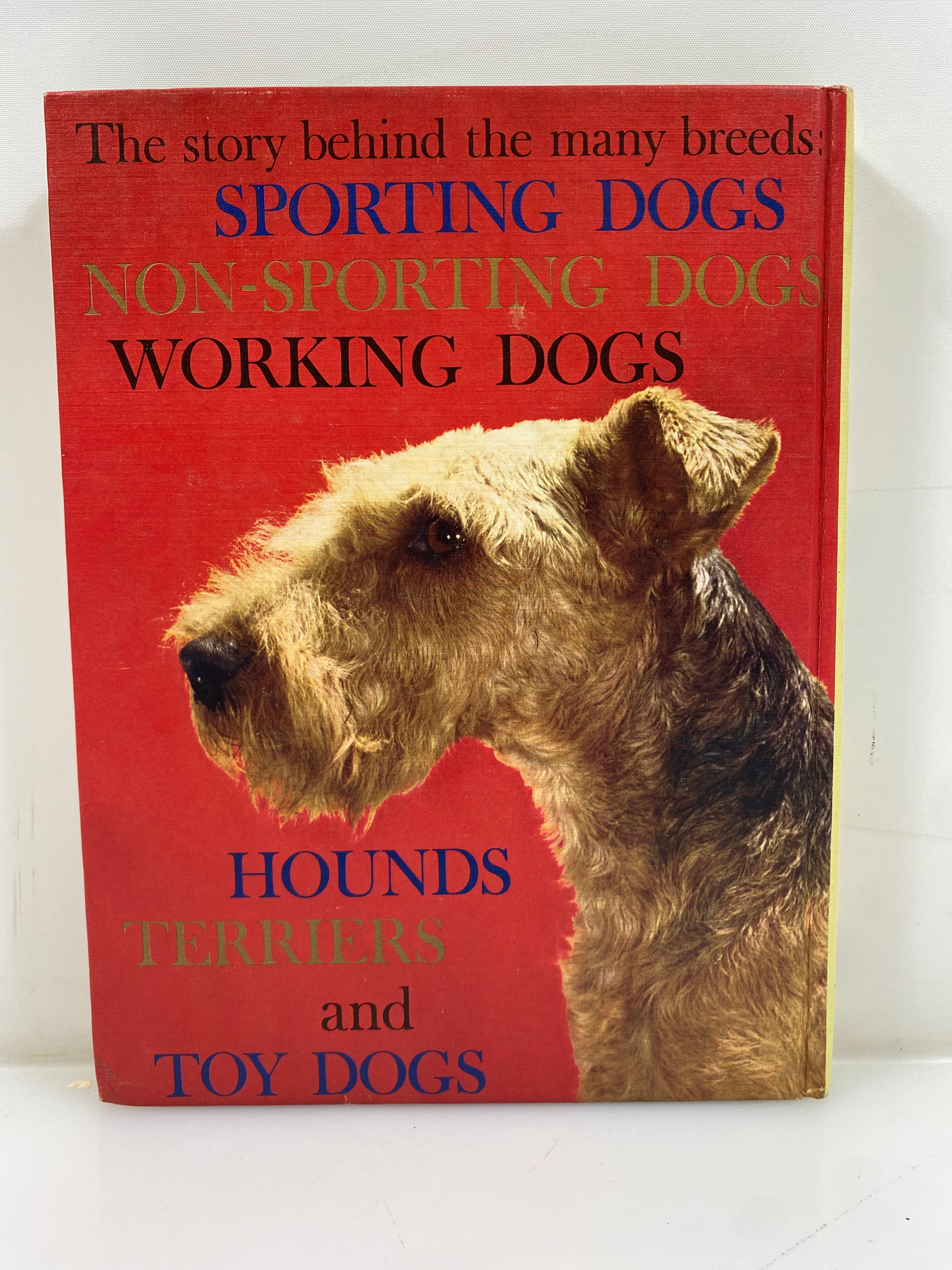 All About Dogs Carl Burger Random House 1962 HC