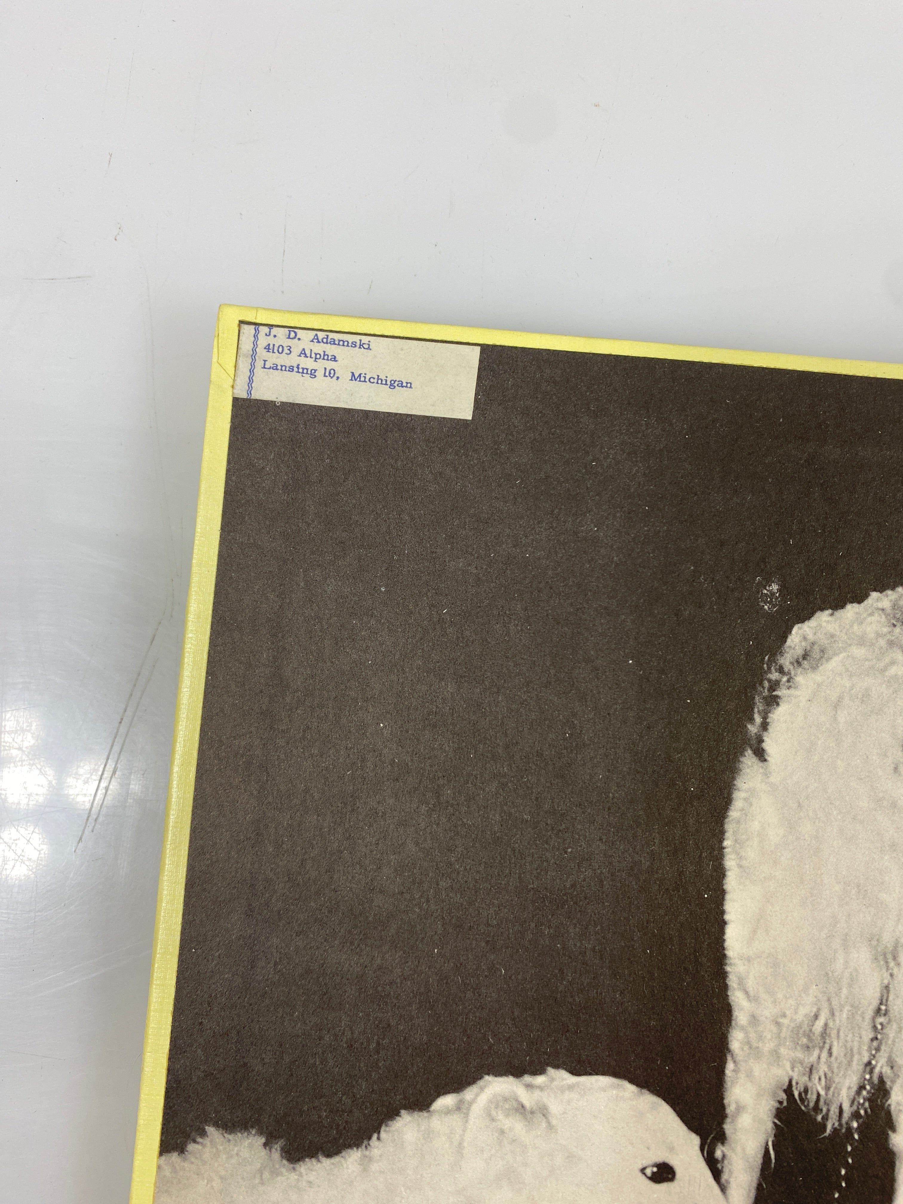 All About Dogs Carl Burger Random House 1962 HC