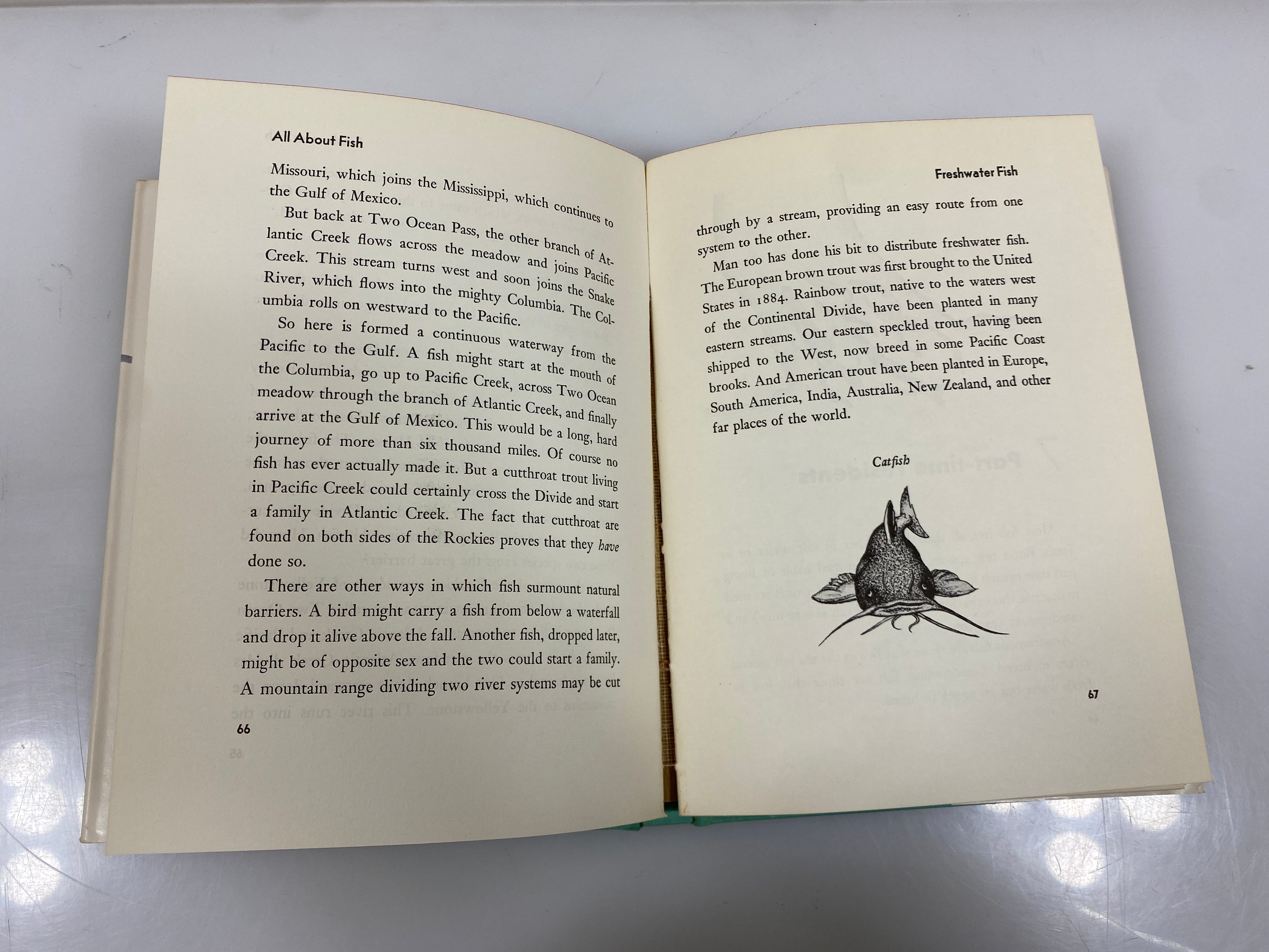 All About Fish Carl Burger Random House 1960 HCDJ