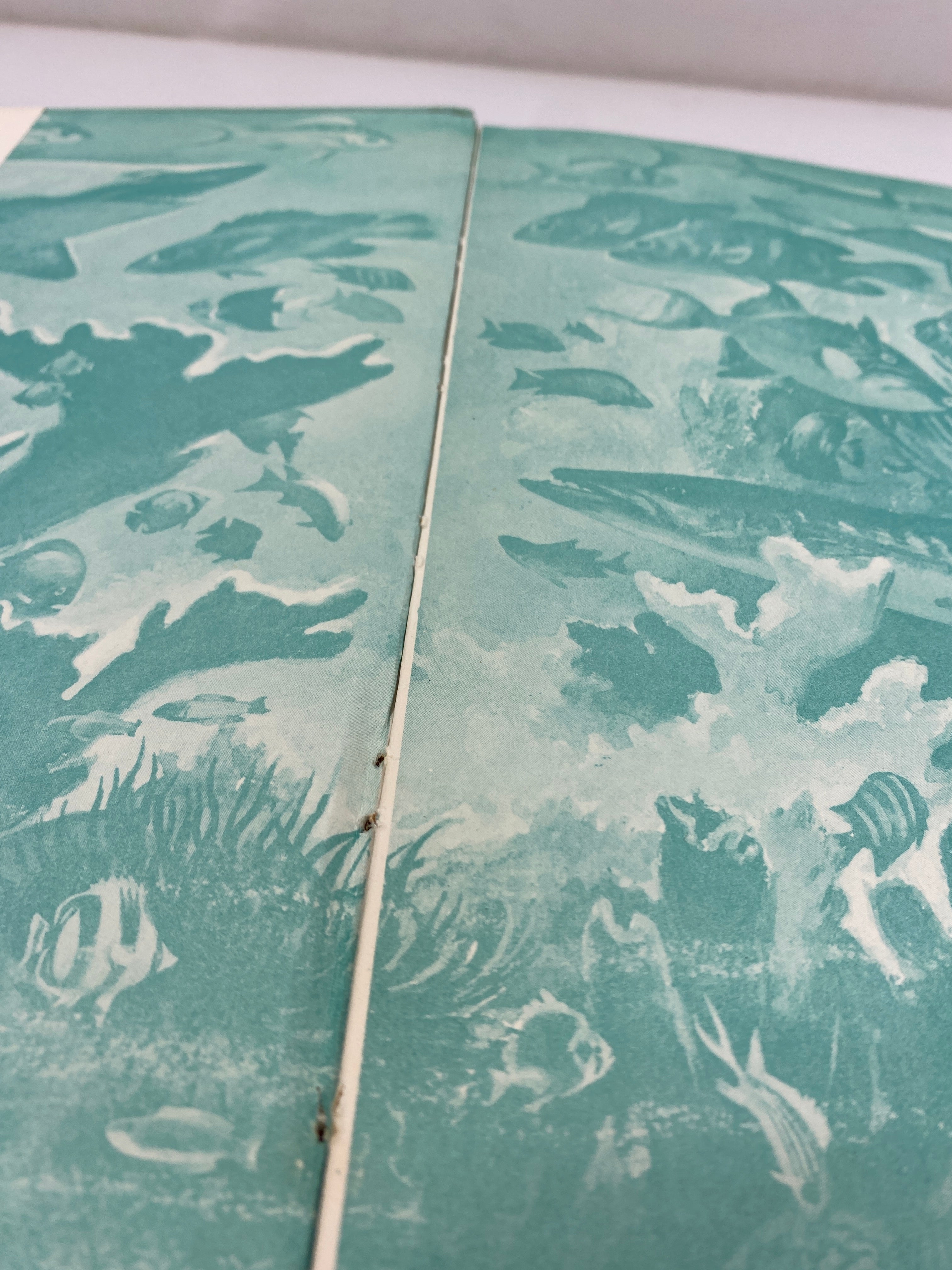 All About Fish Carl Burger Random House 1960 HCDJ