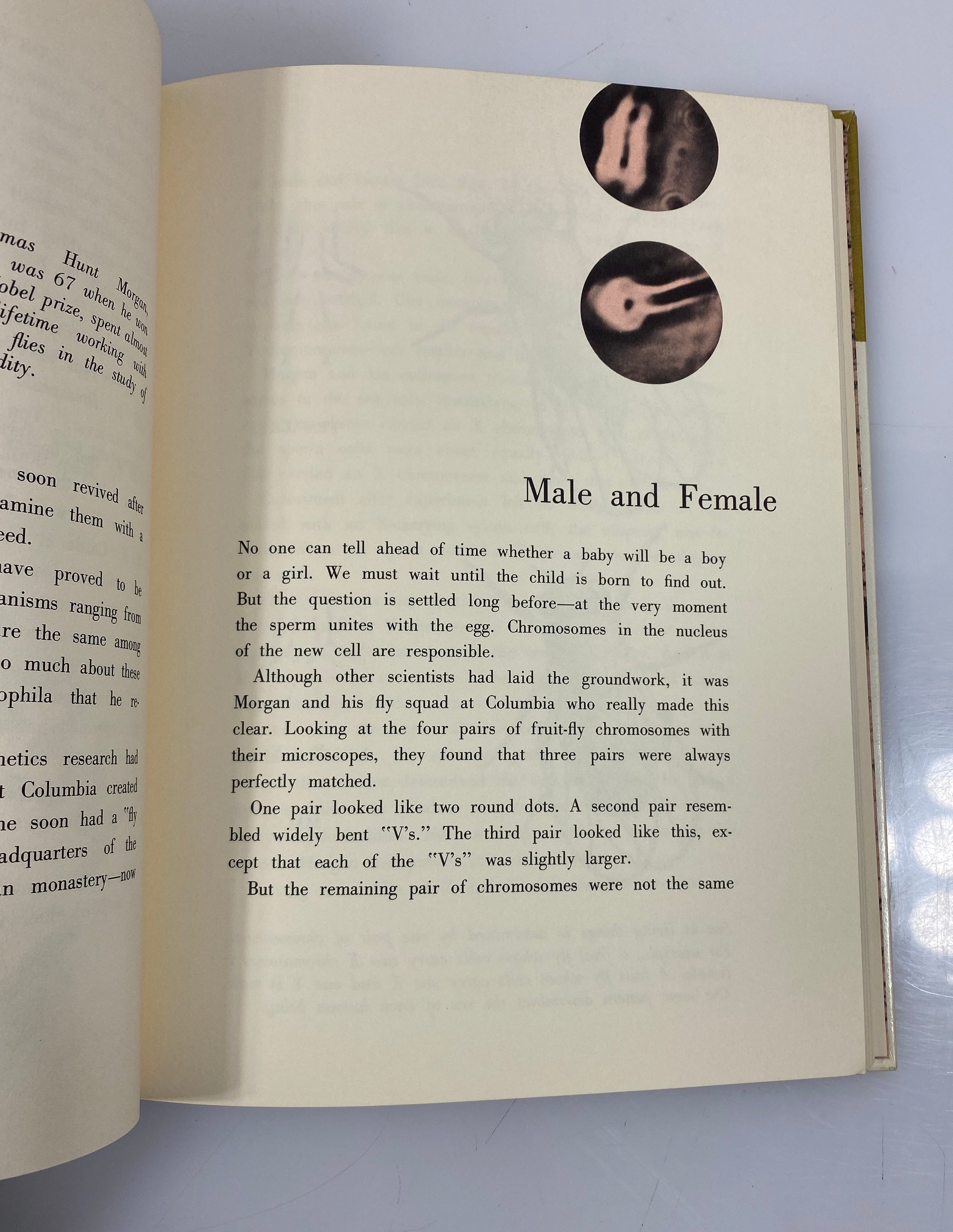 All About Heredity Judith Randal Random House 1963 HC