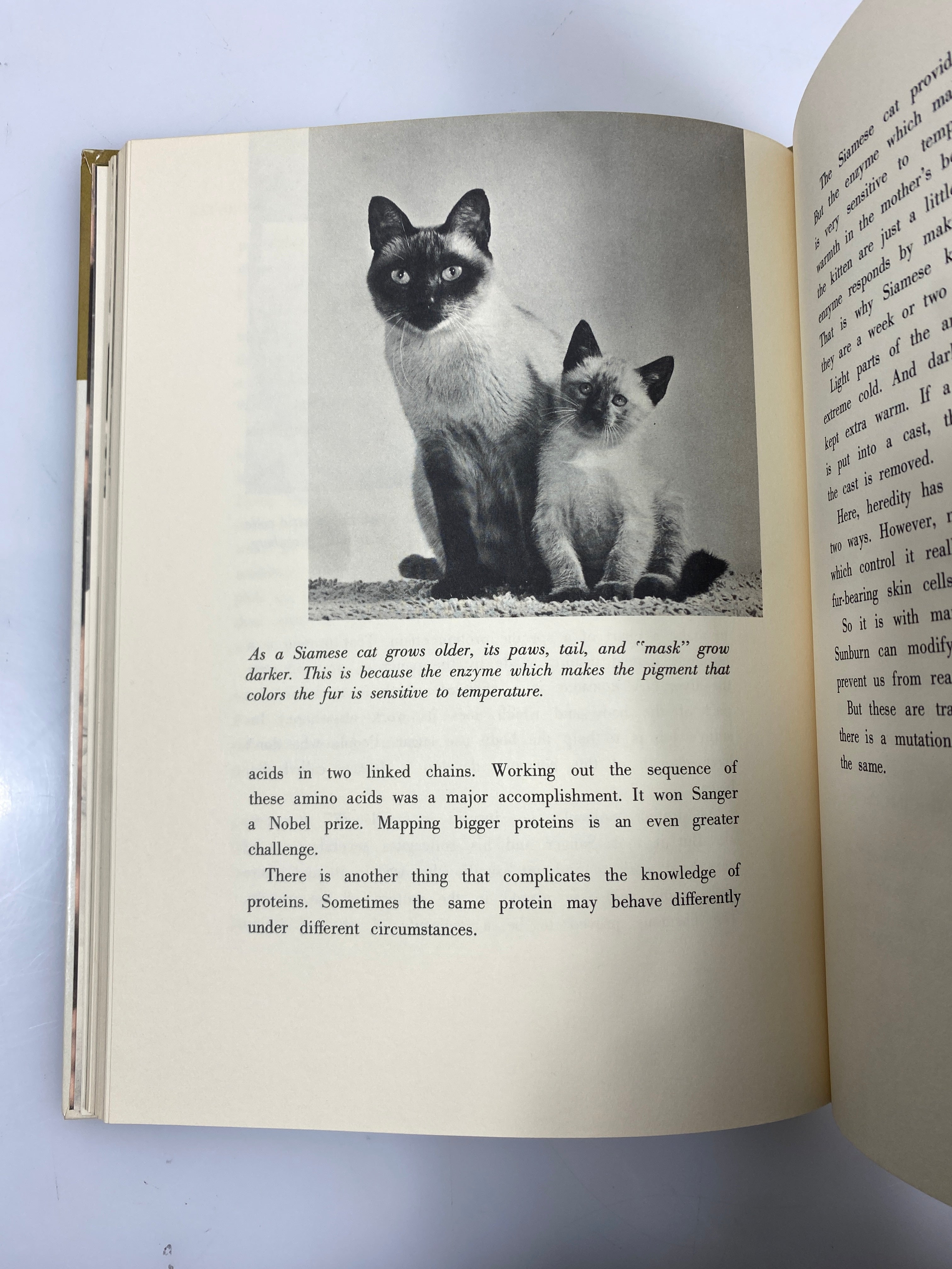 All About Heredity Judith Randal Random House 1963 HC
