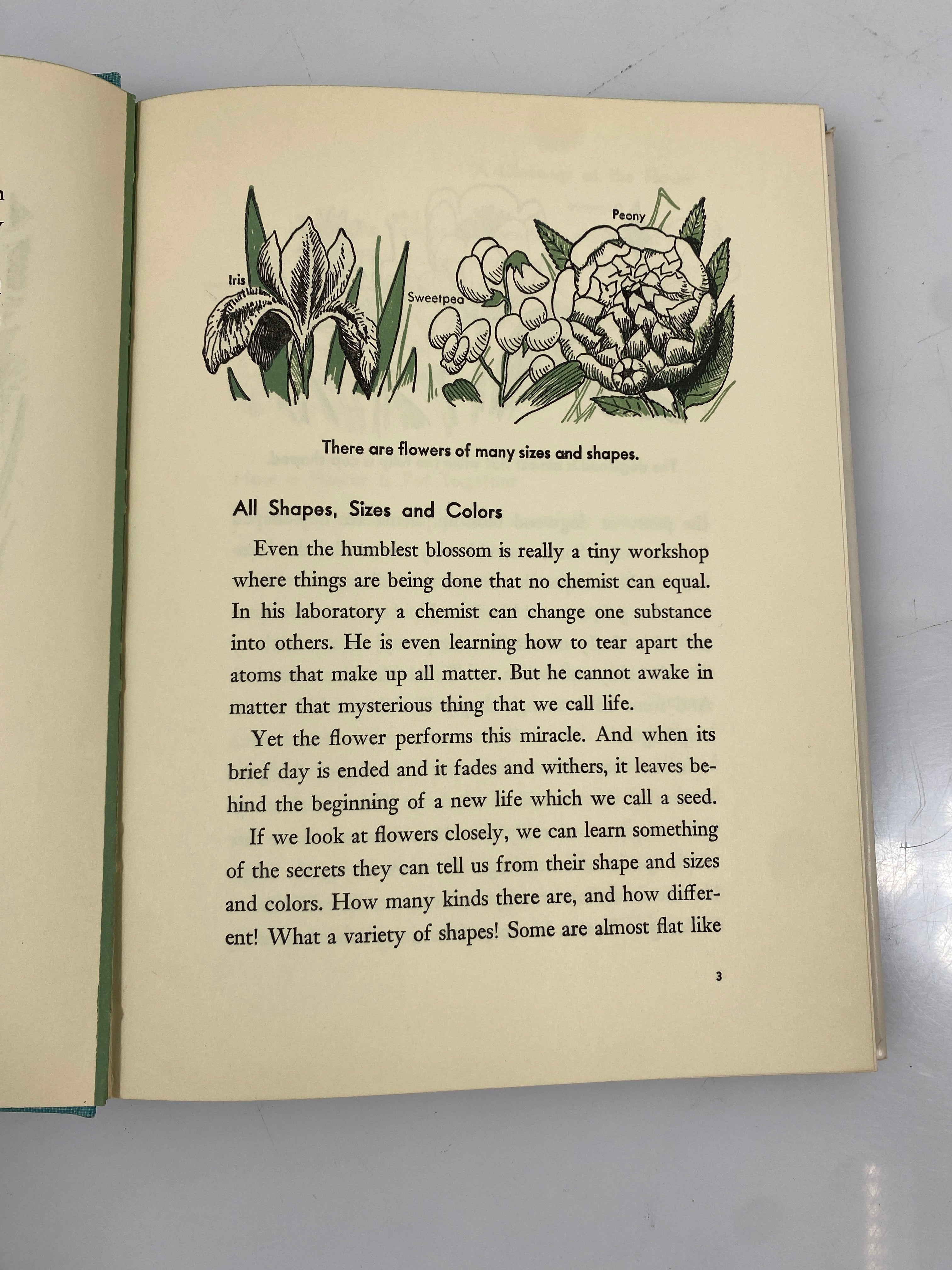 All About the Flowering World Ferdinand Lane Random House 1956 HCDJ
