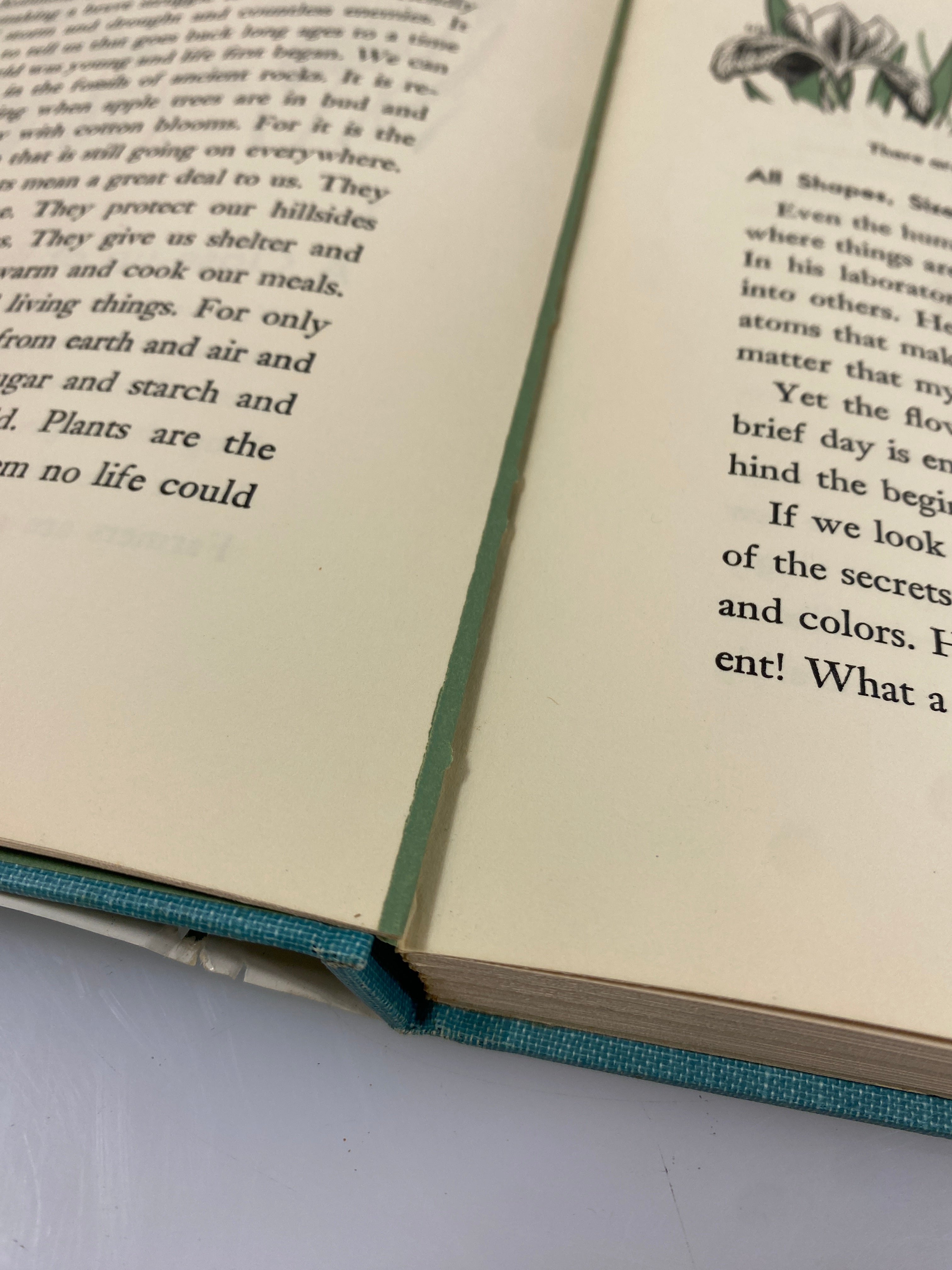 All About the Flowering World Ferdinand Lane Random House 1956 HCDJ