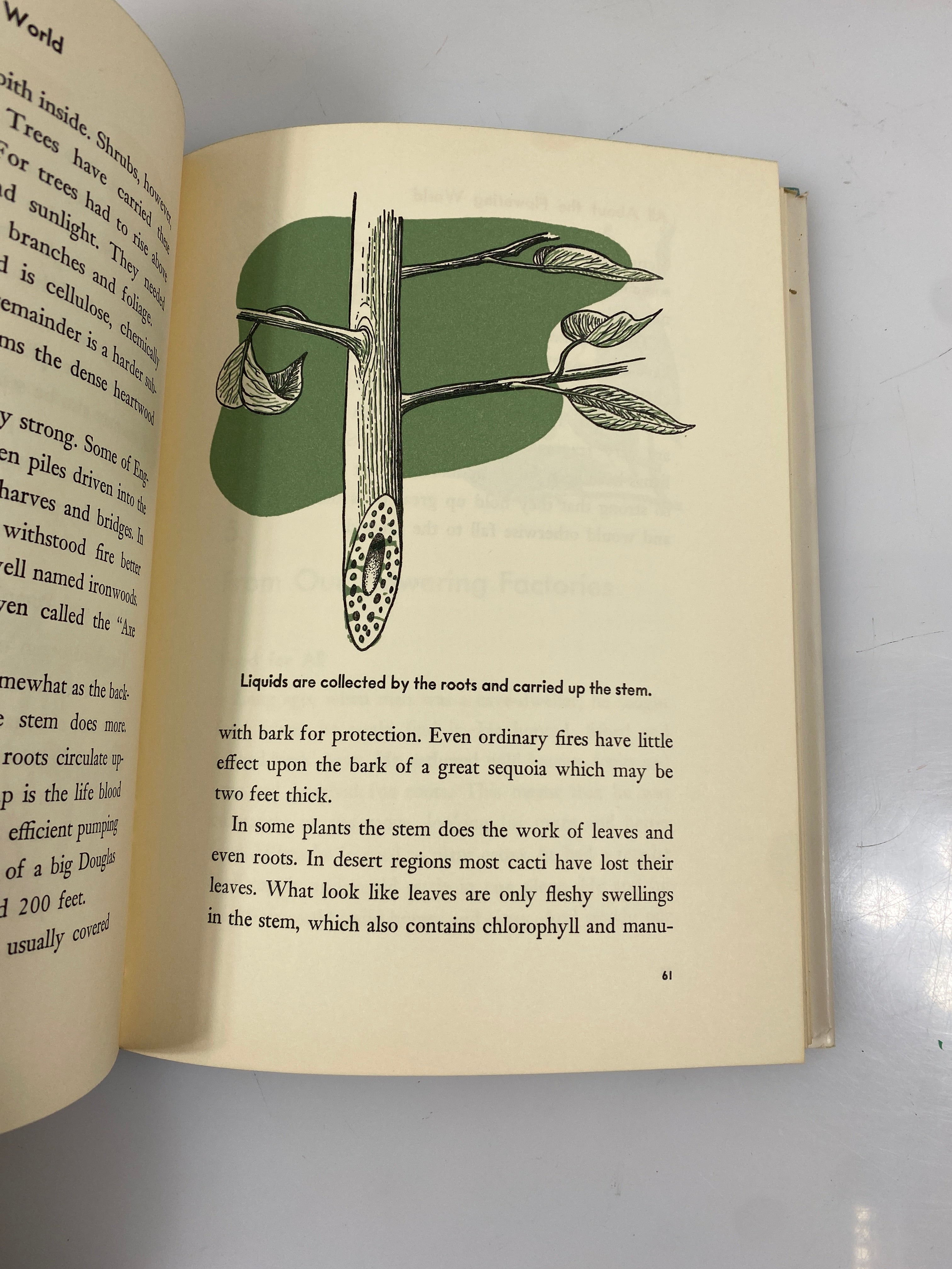 All About the Flowering World Ferdinand Lane Random House 1956 HCDJ