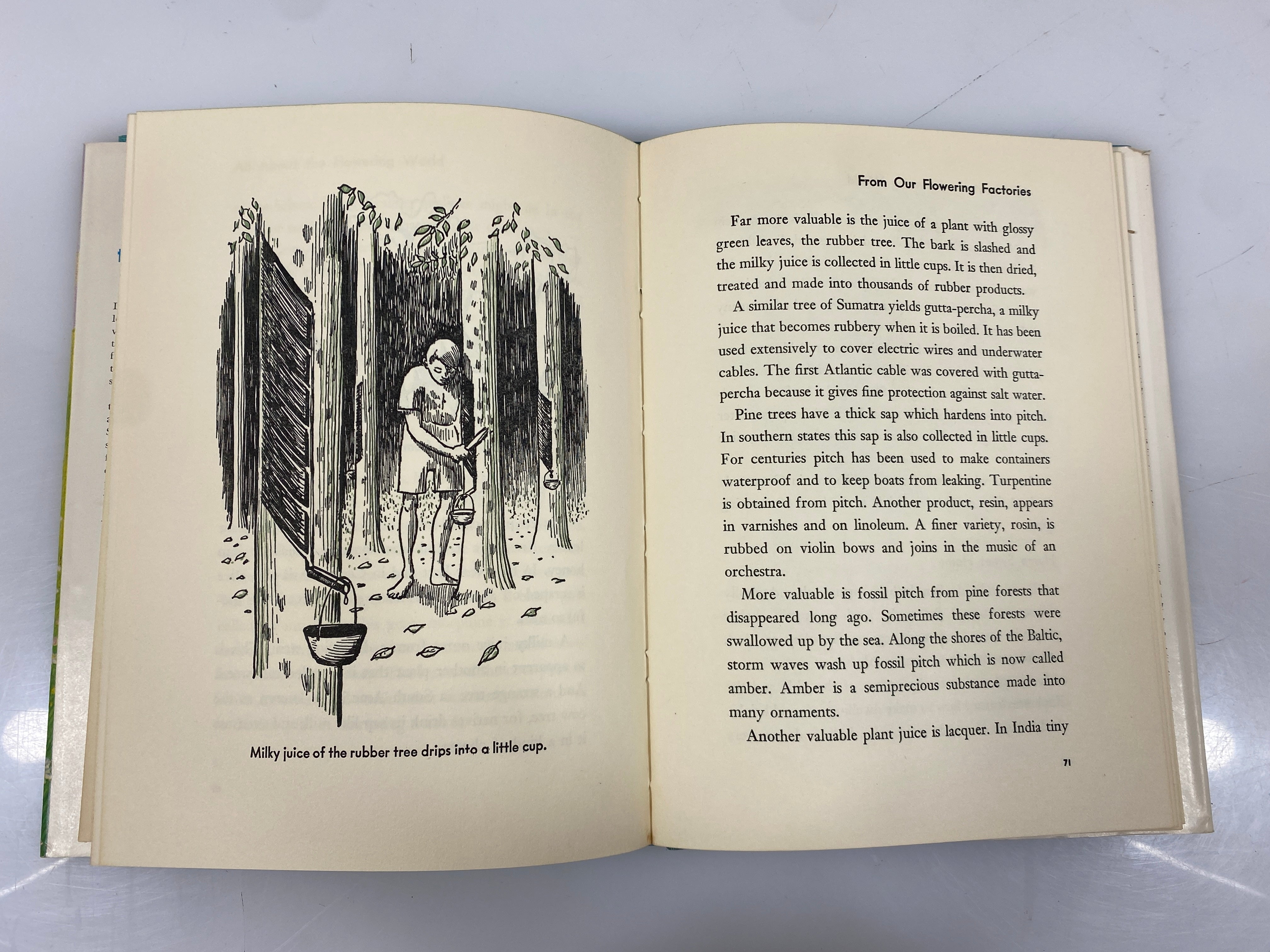 All About the Flowering World Ferdinand Lane Random House 1956 HCDJ