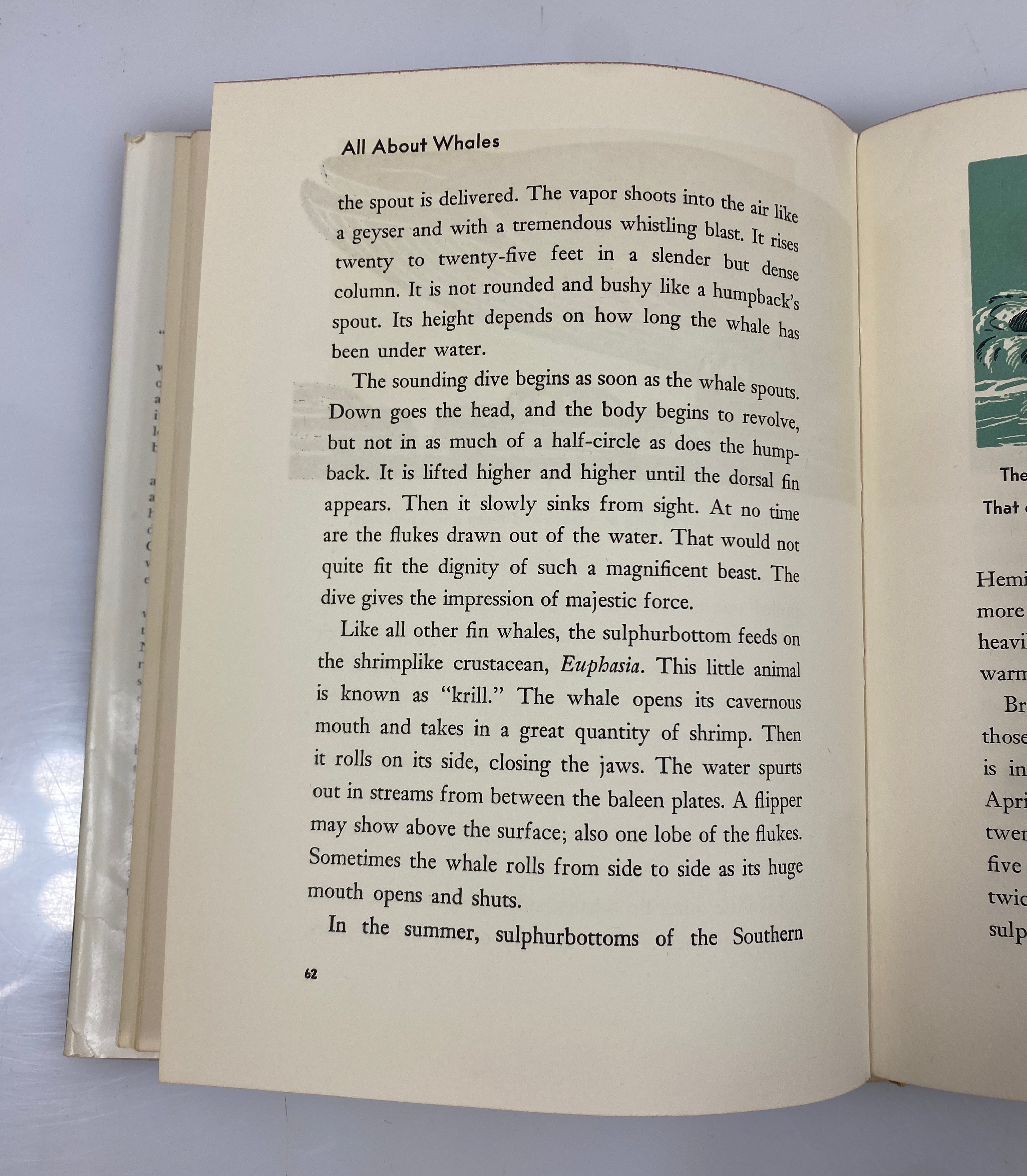 All About Whales Roy Chapman Andrews Random House 6th Print 1954 HCDJ