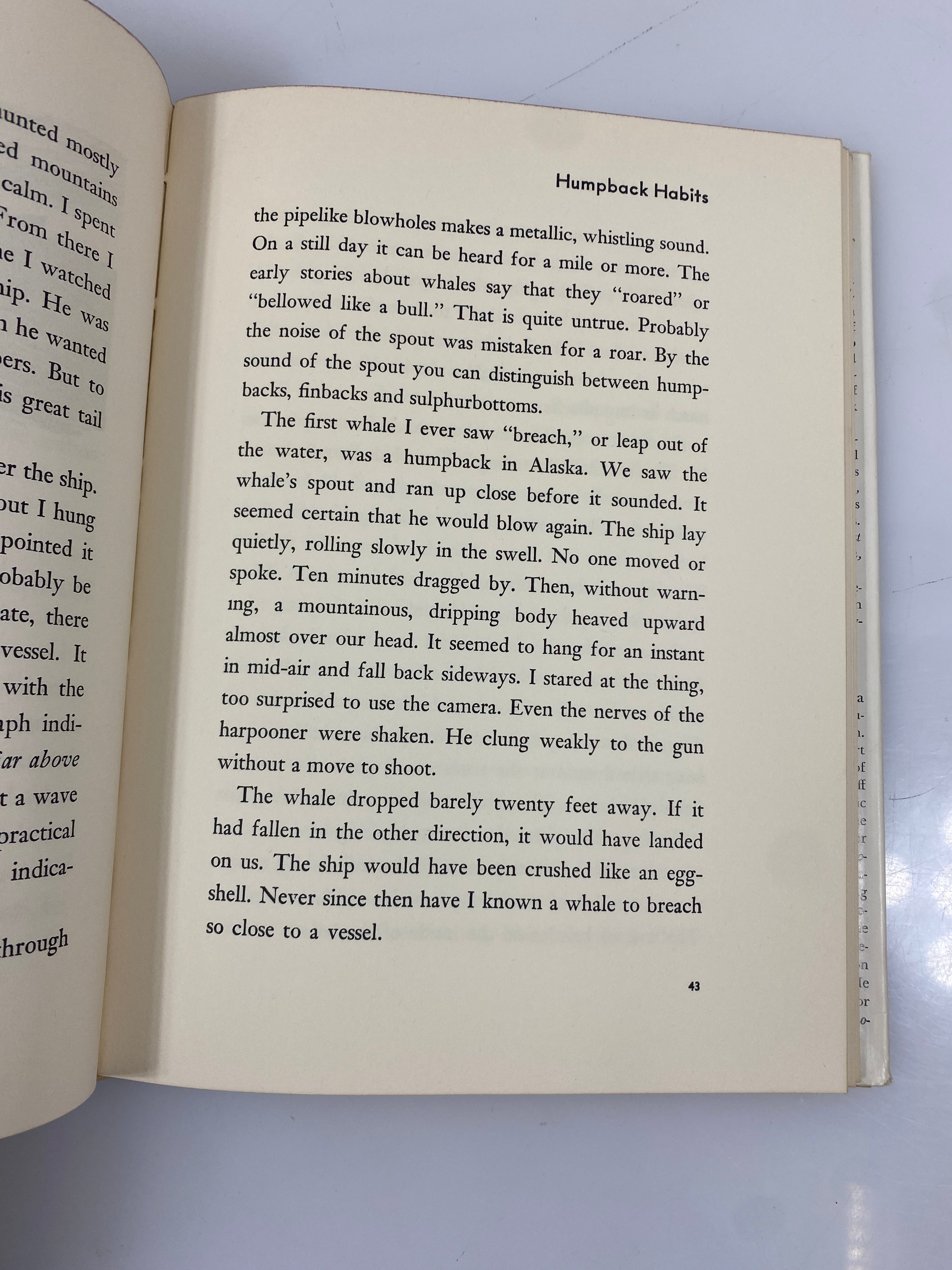 All About Whales Roy Chapman Andrews Random House 6th Print 1954 HCDJ