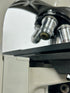 American Optical Spencer Model 4-1 Binocular Microscope *Untested*