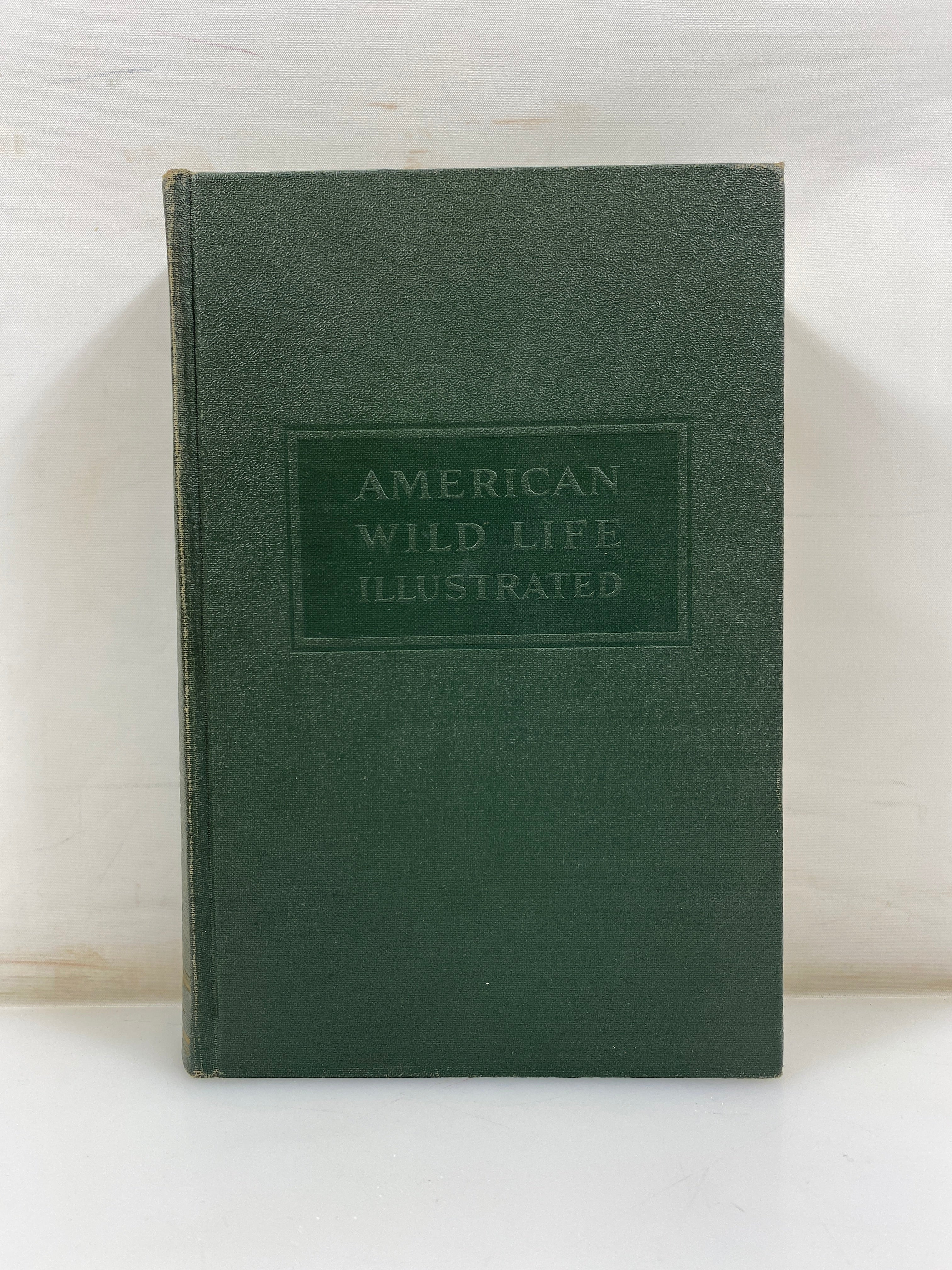 American Wild Life Baylitts Wise & Co. HC