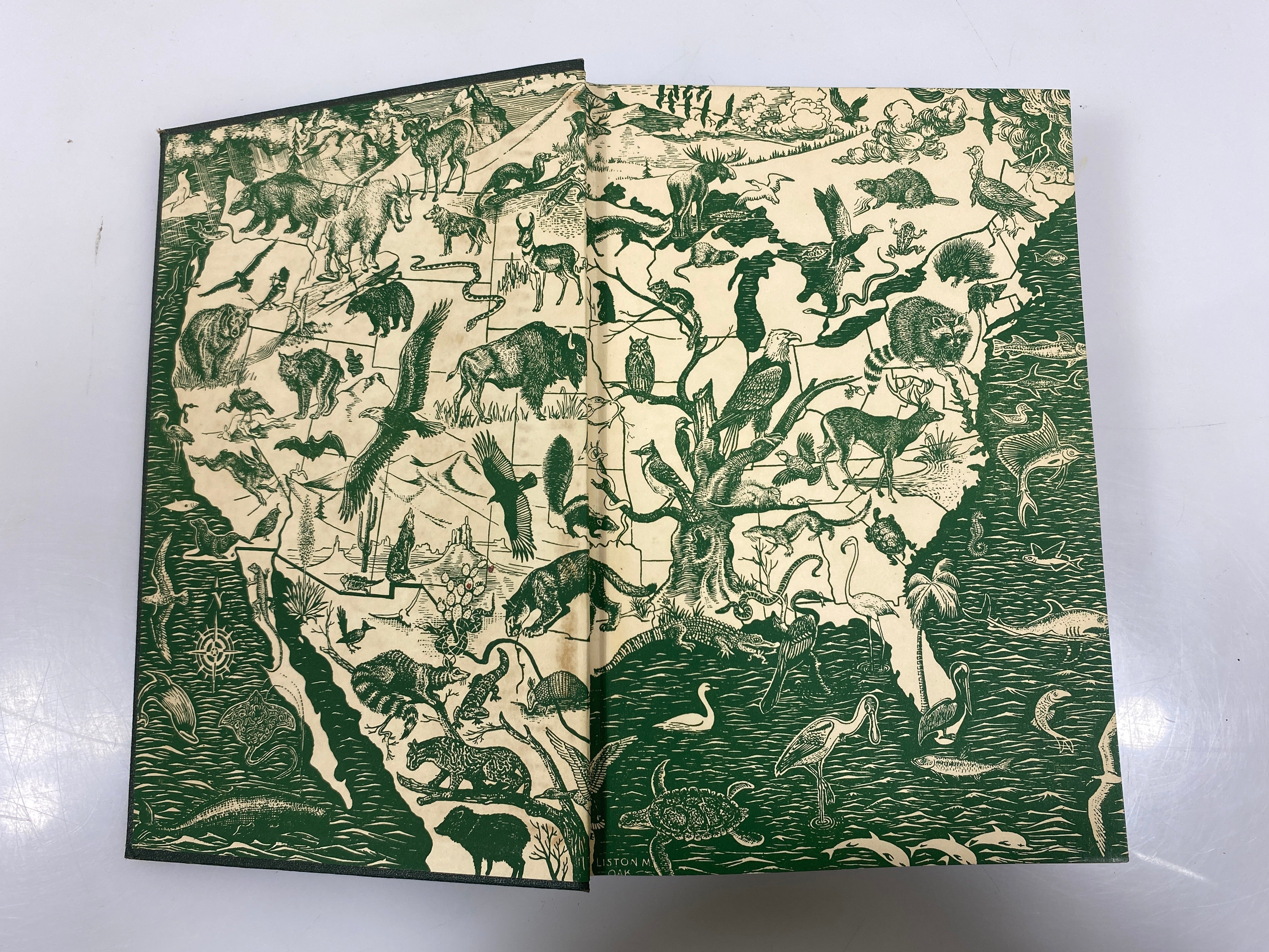 American Wild Life Baylitts Wise & Co. HC