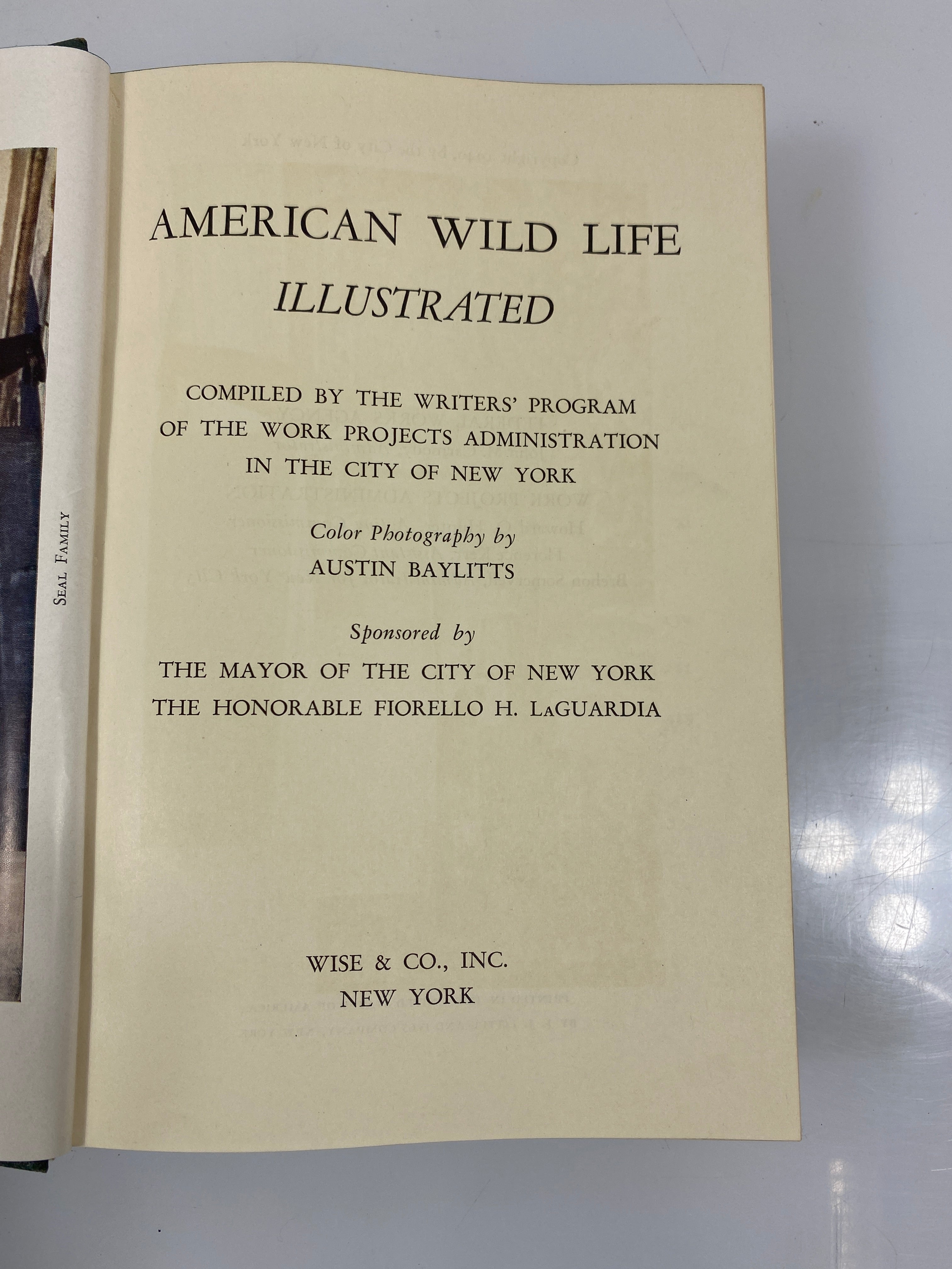 American Wild Life Baylitts Wise & Co. HC