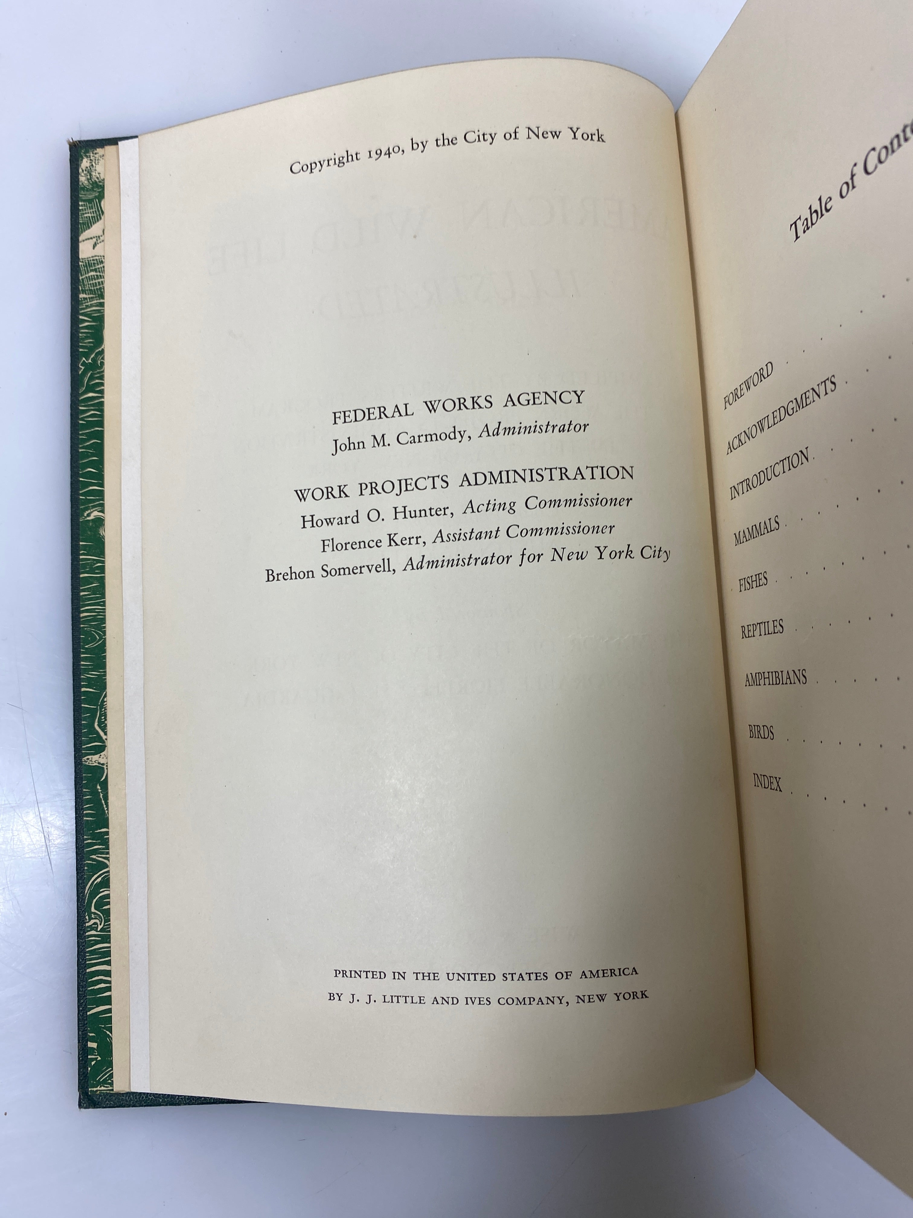 American Wild Life Baylitts Wise & Co. HC