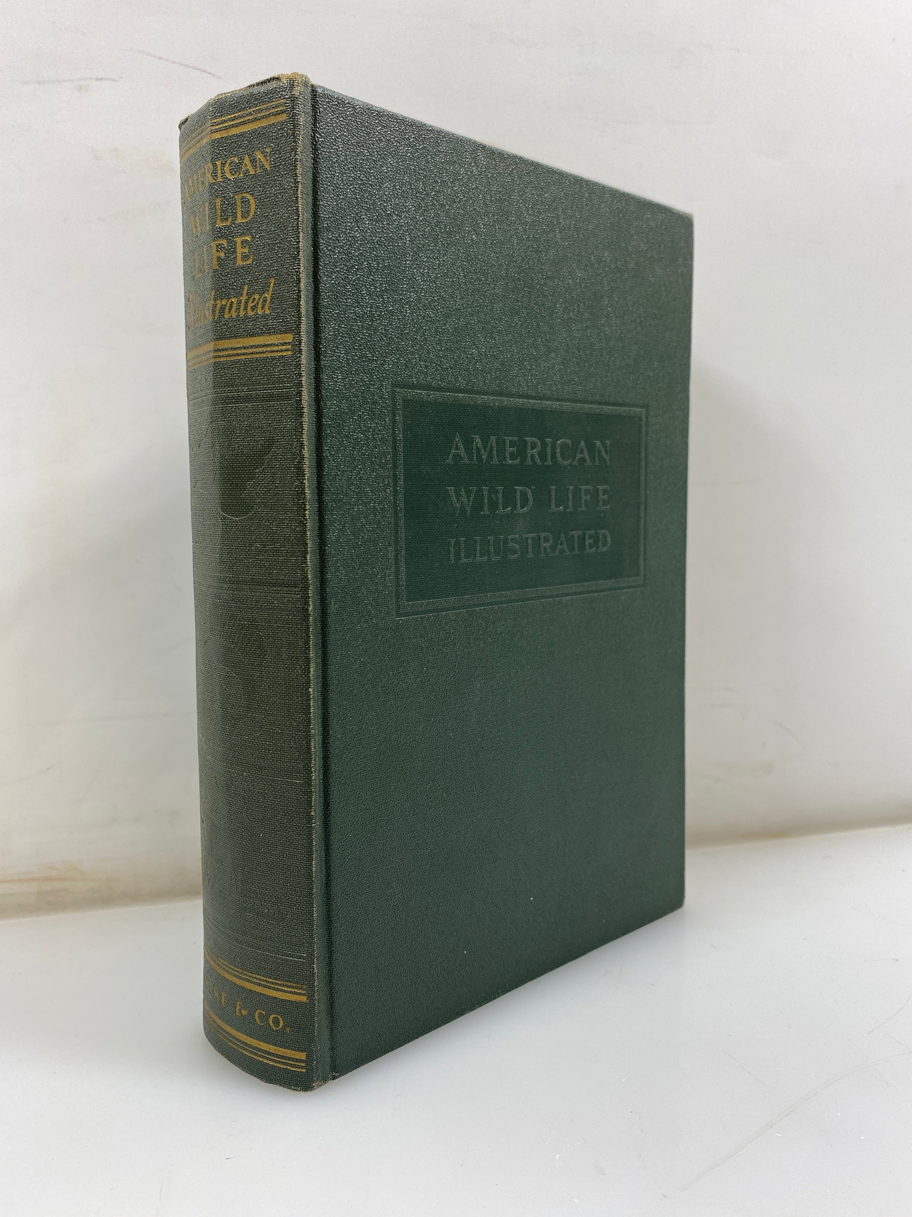 American Wild Life Baylitts Wise & Co. HC