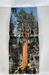 America's Wonderlands The National Parks w Map 1966 Nat Geo HC