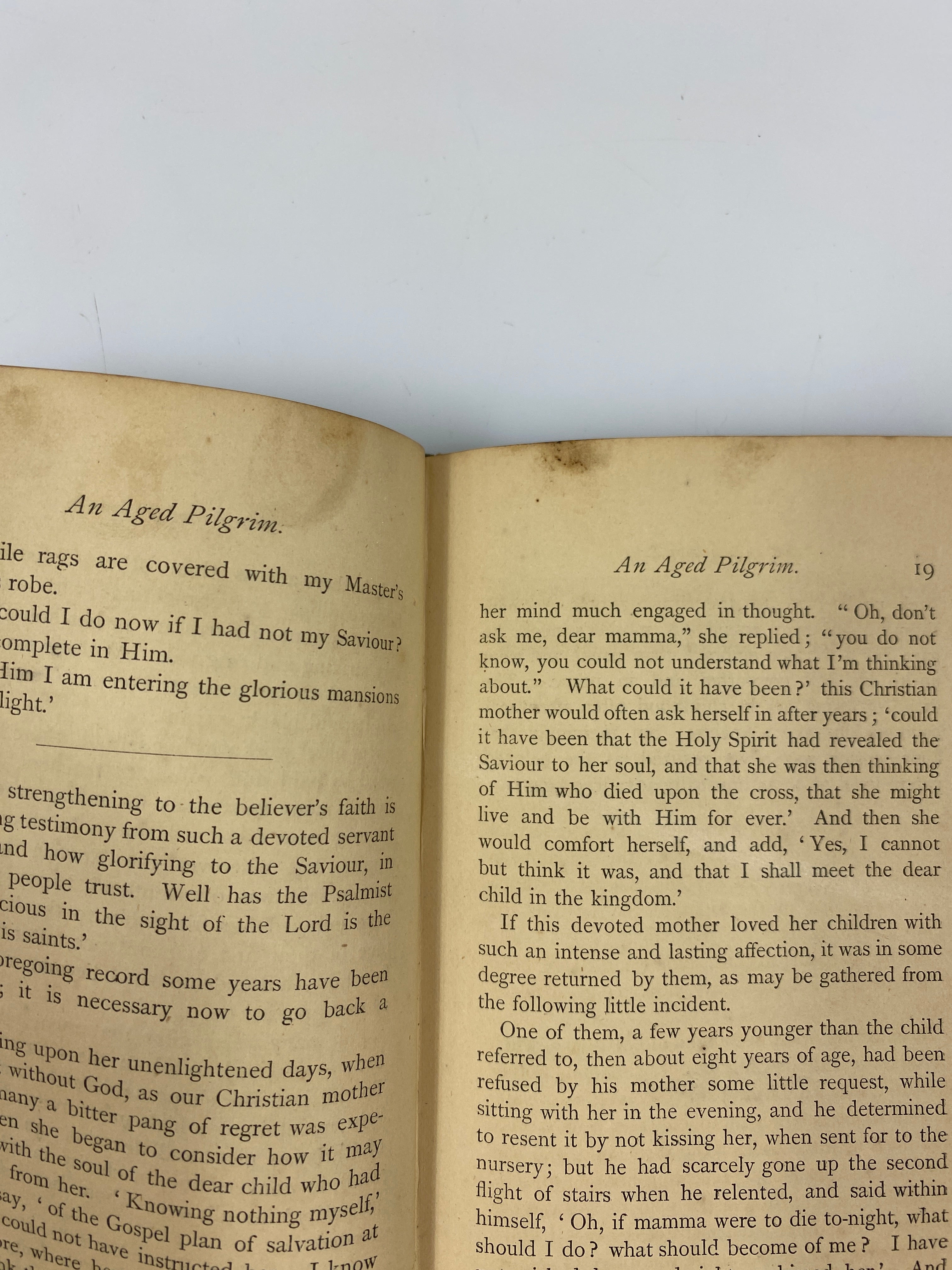 An Aged Pilgrim A Memorial by Johnston c.1870 HC