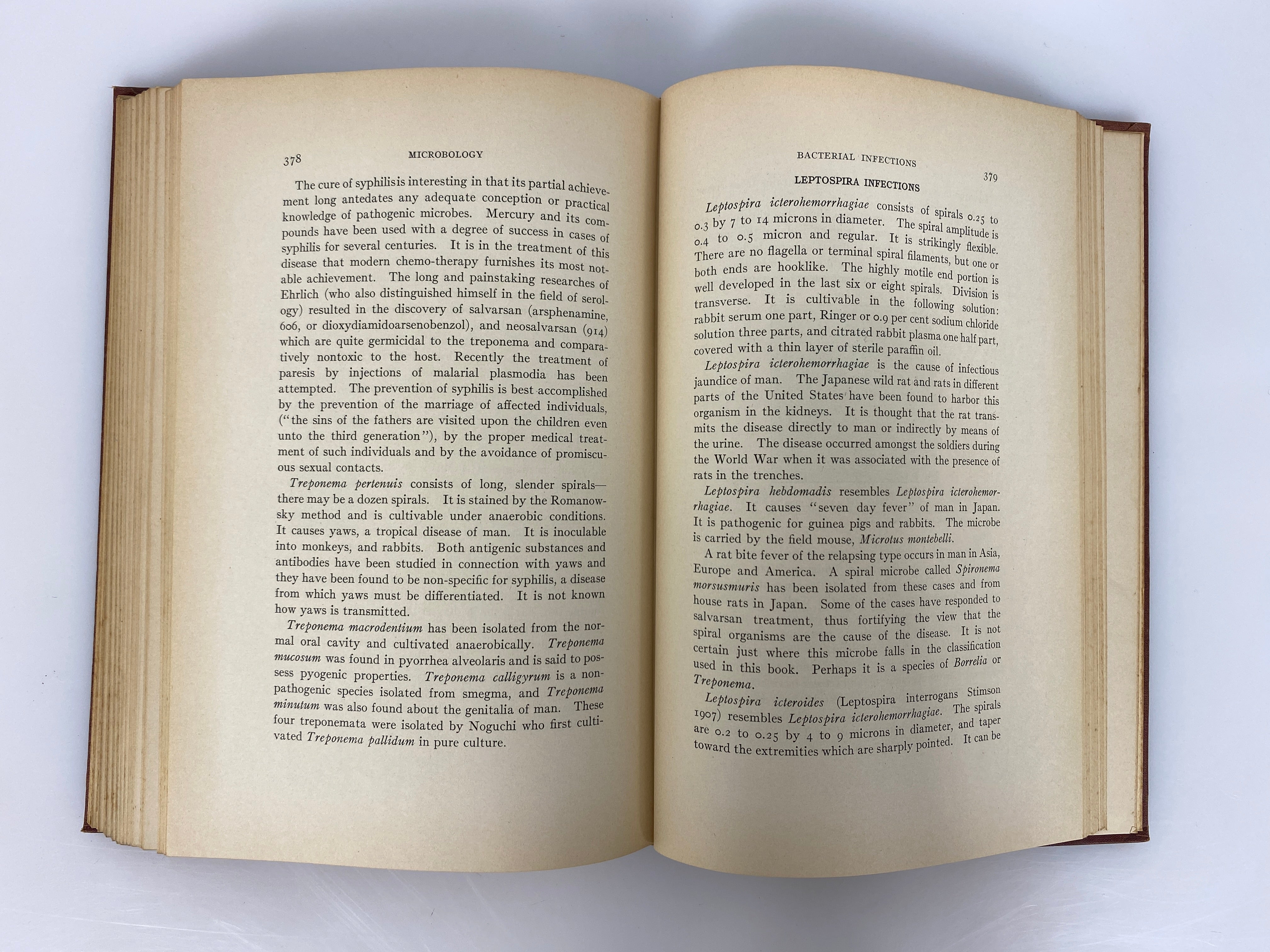 An Elementary Text Book of General "Microbology" Ward Giltner 1928 HC