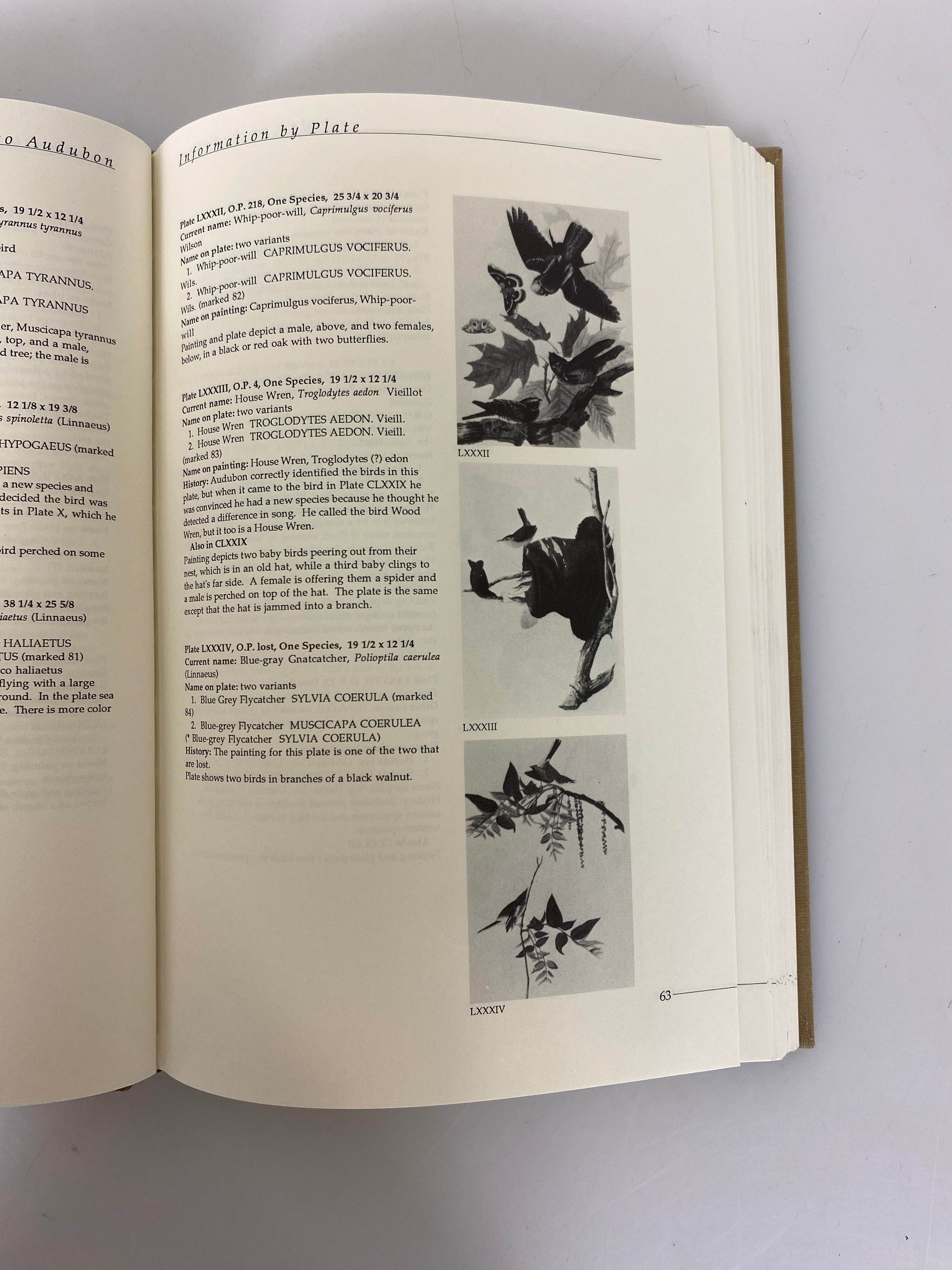 An Index and Guide to Audubon's Birds of America by Low Ex-library 1988 HC