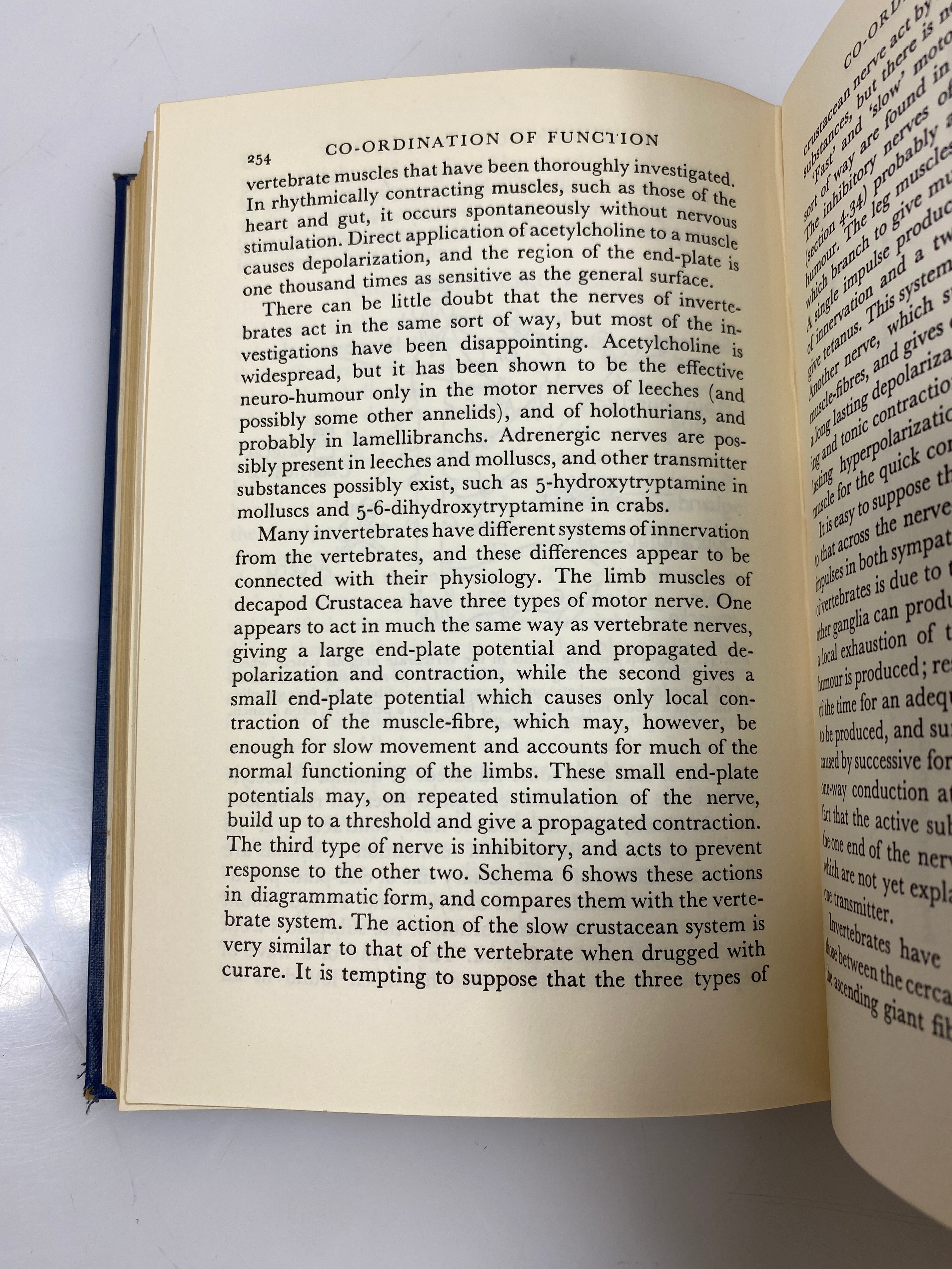An Introduction to Animal Physiology by Yapp 1960 HC
