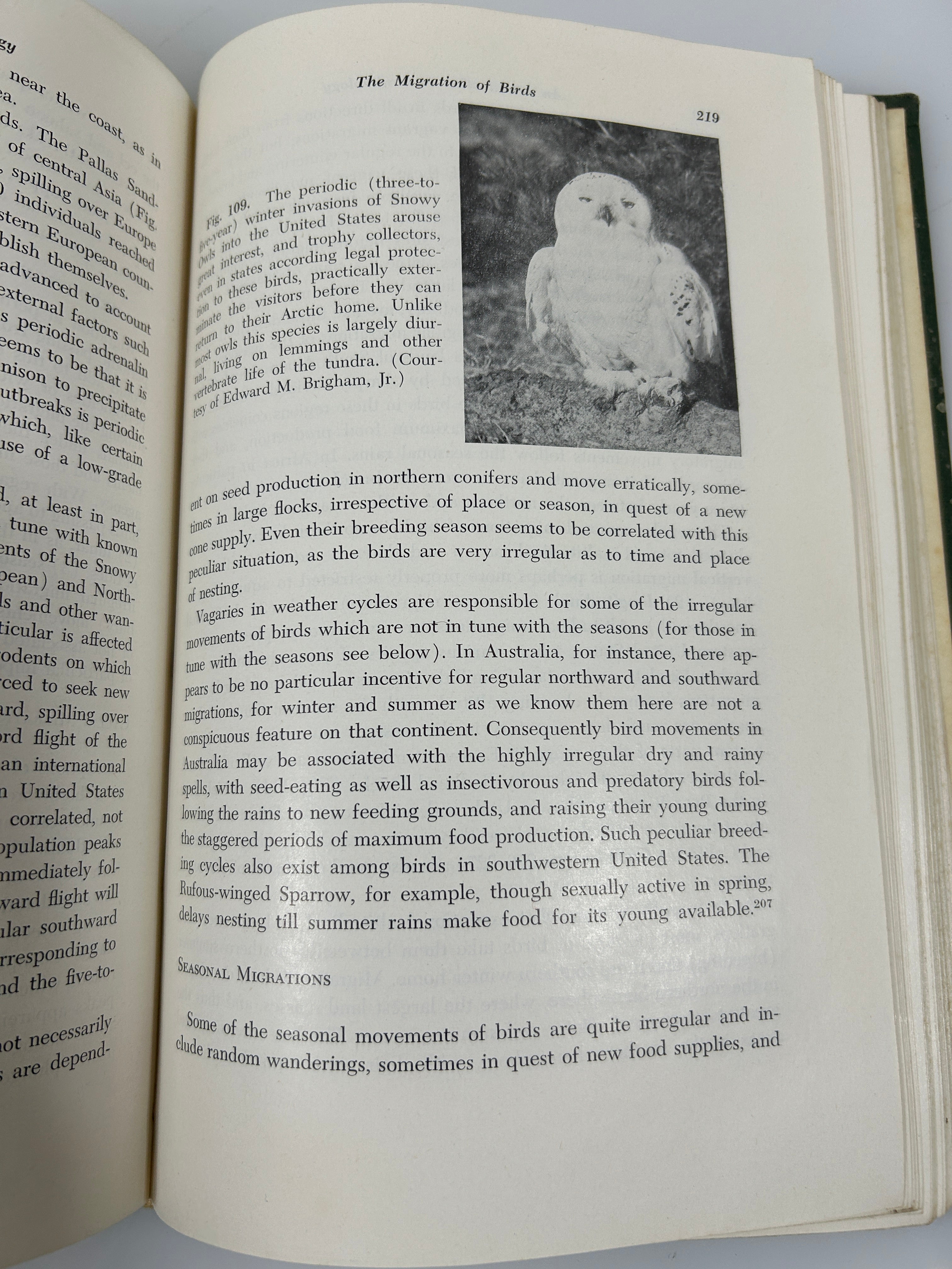 An Introduction to Ornithology by George J Wallace 1955 MacMillan Co HC