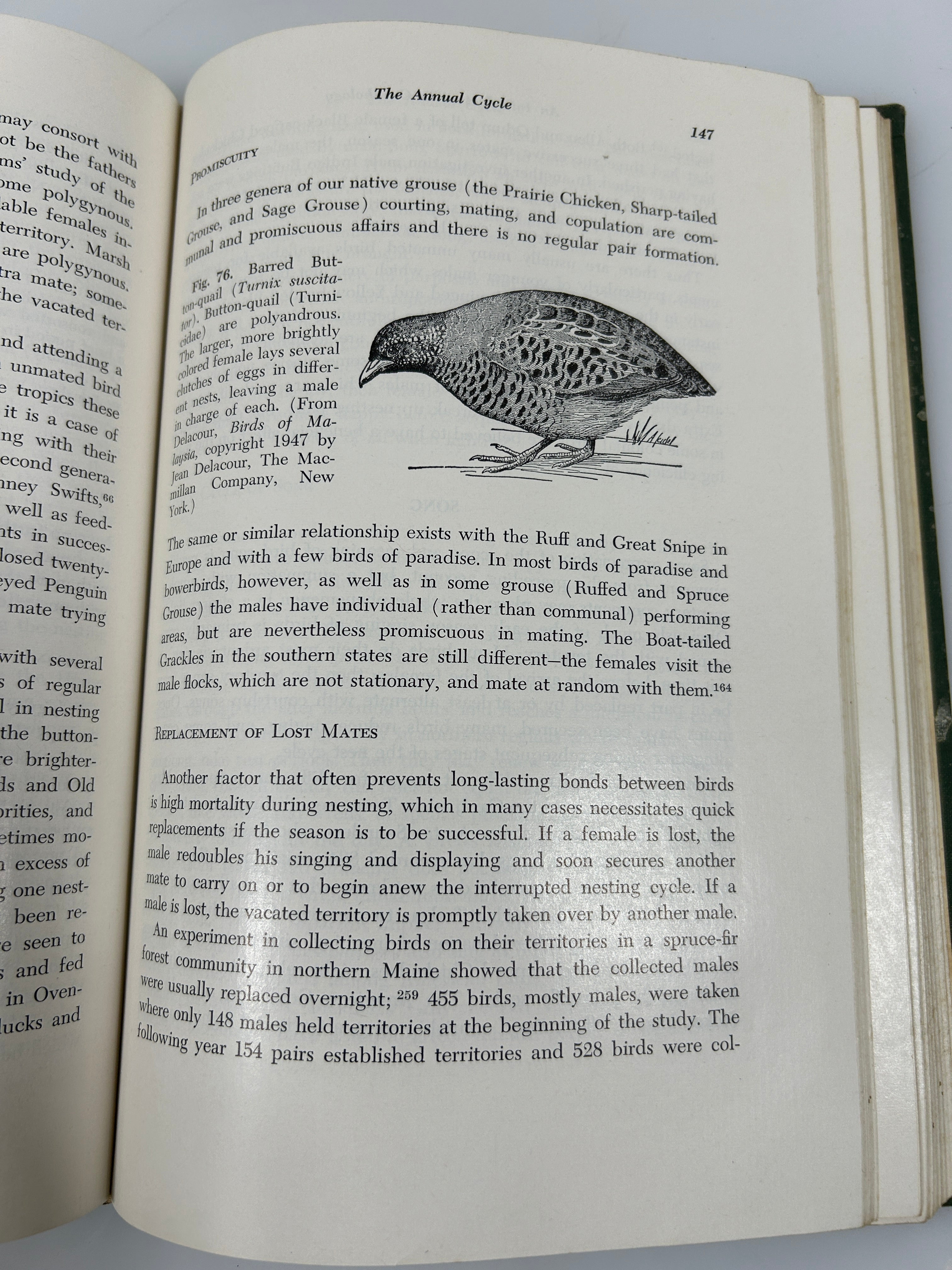 An Introduction to Ornithology by George J Wallace 1955 MacMillan Co HC