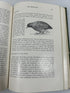 An Introduction to Ornithology by George J Wallace 1955 MacMillan Co HC