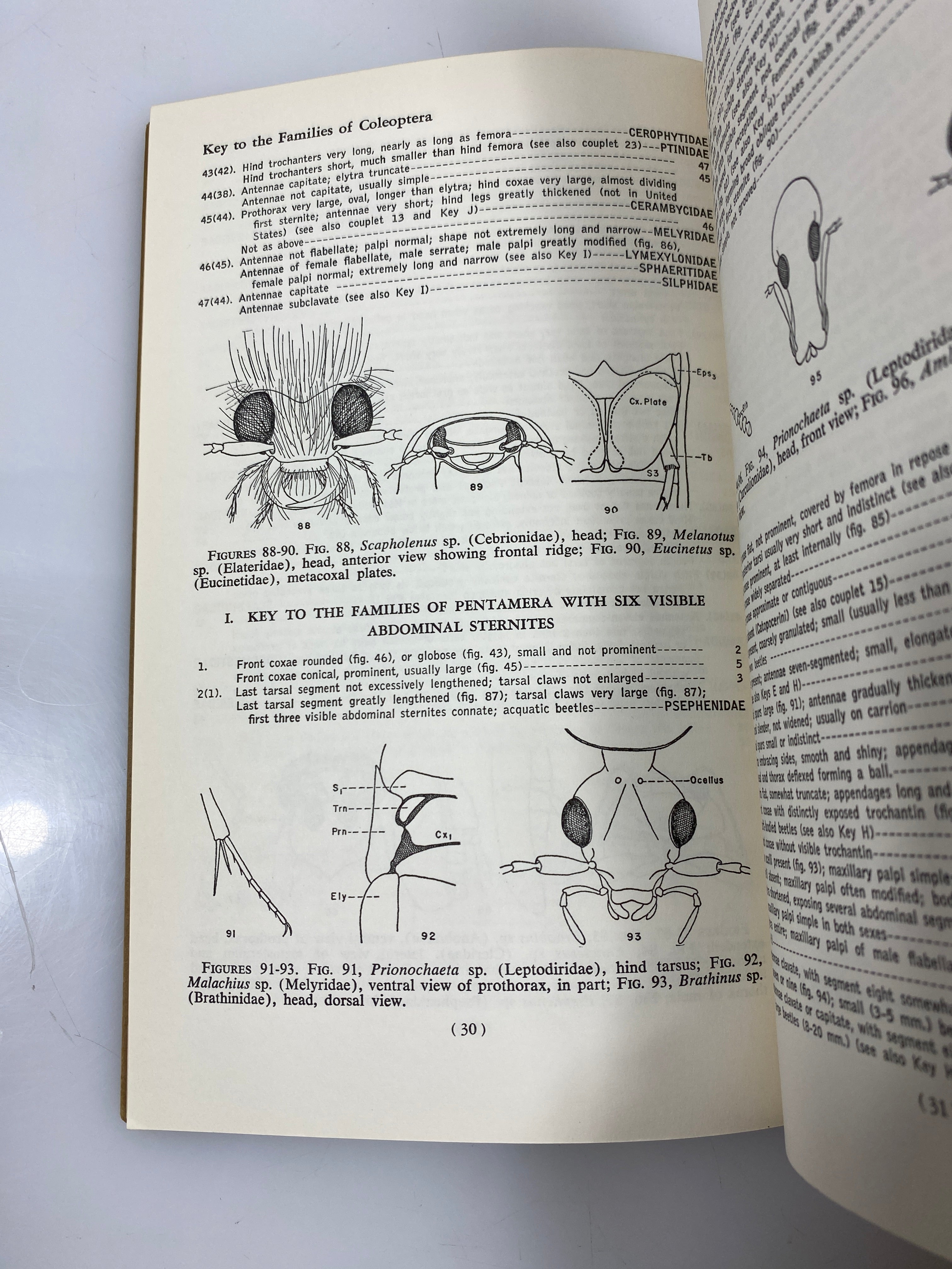 An Introduction to the Study of Beetles by Arnett Ex-library HC