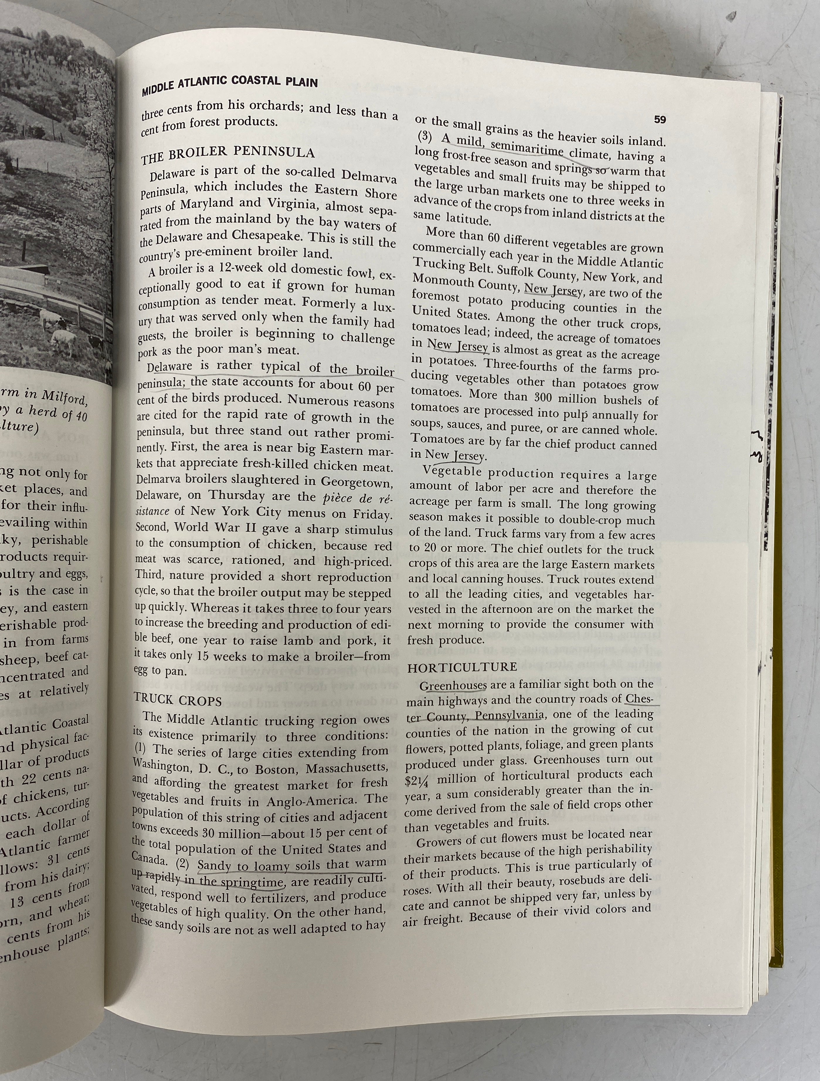 Anglo-America A Regional Geography of the US & Canada 1962 HC Text