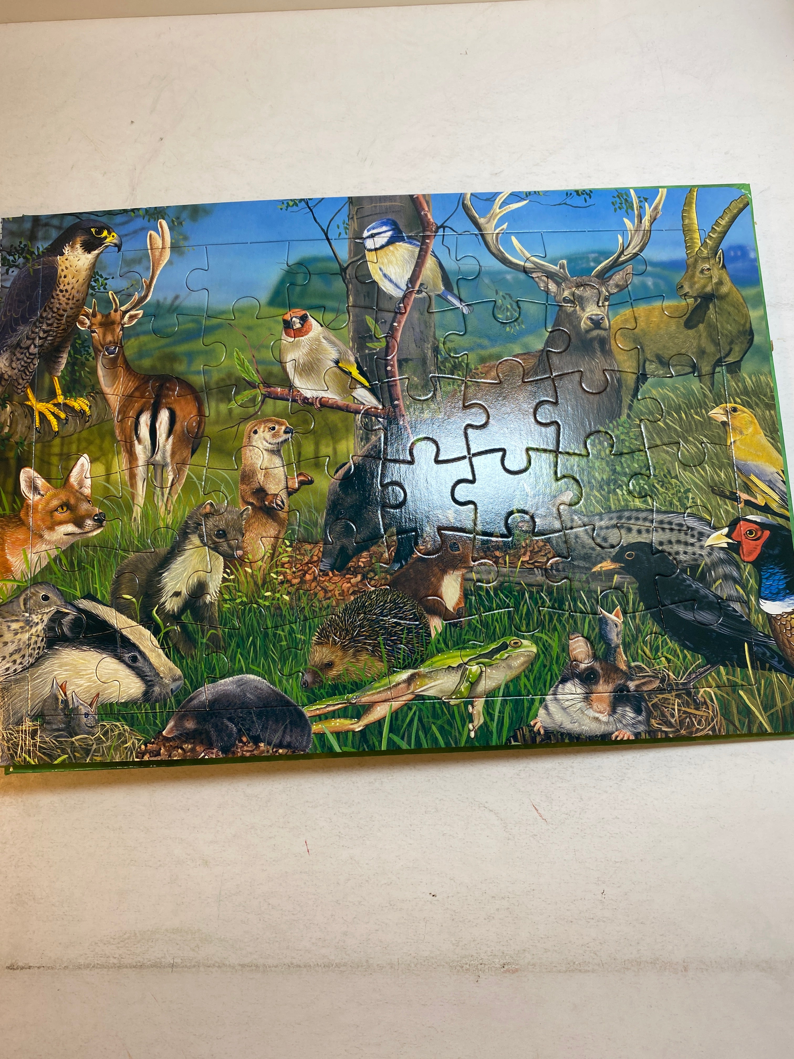 Animals of the World Jigsaw Puzzle Book HC